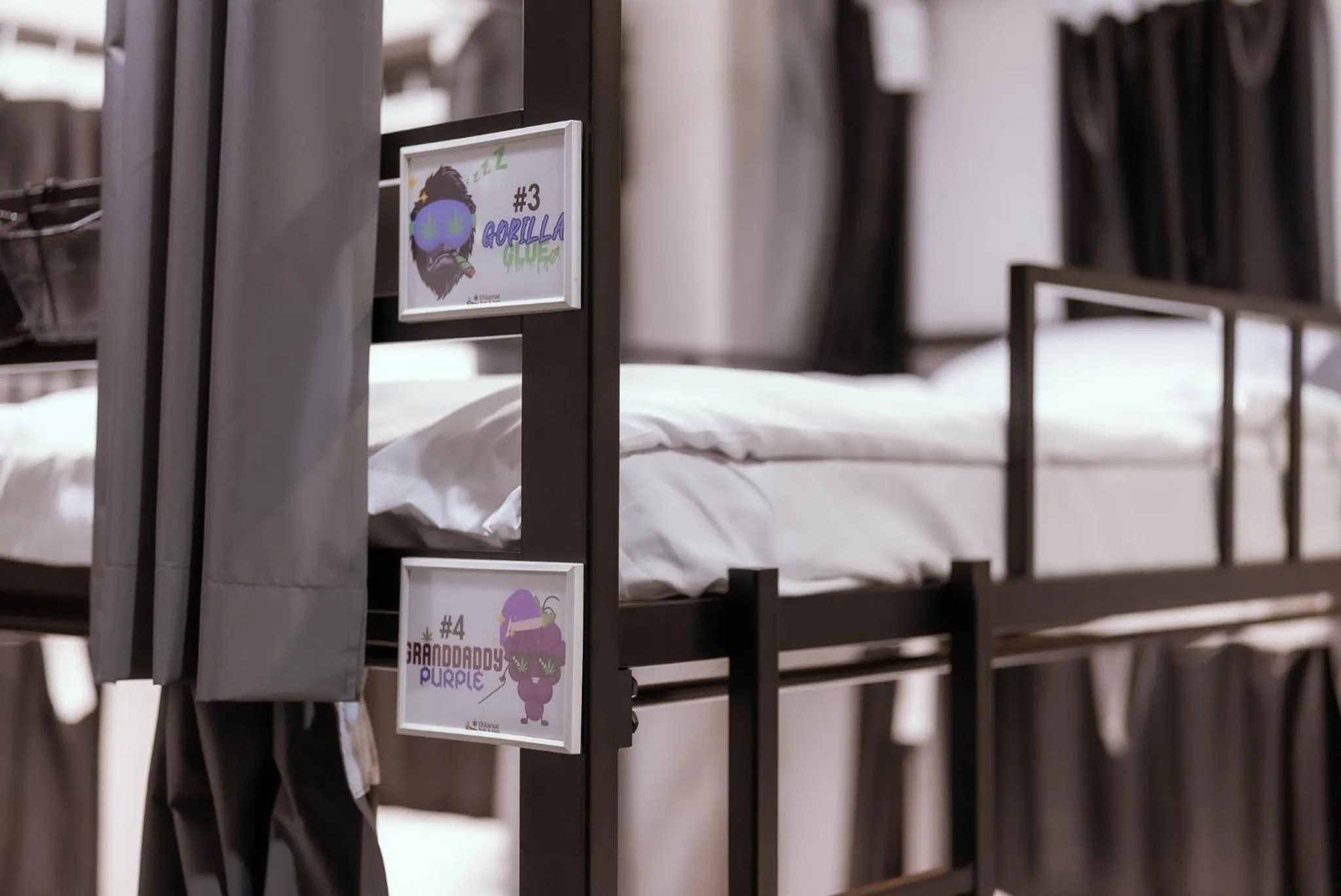 Bed in 420 Hostel - Ekkamai Buds & Beds