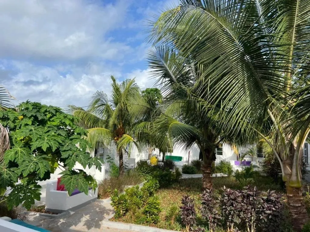 Garden view in Varadero Zanzibar Hotel