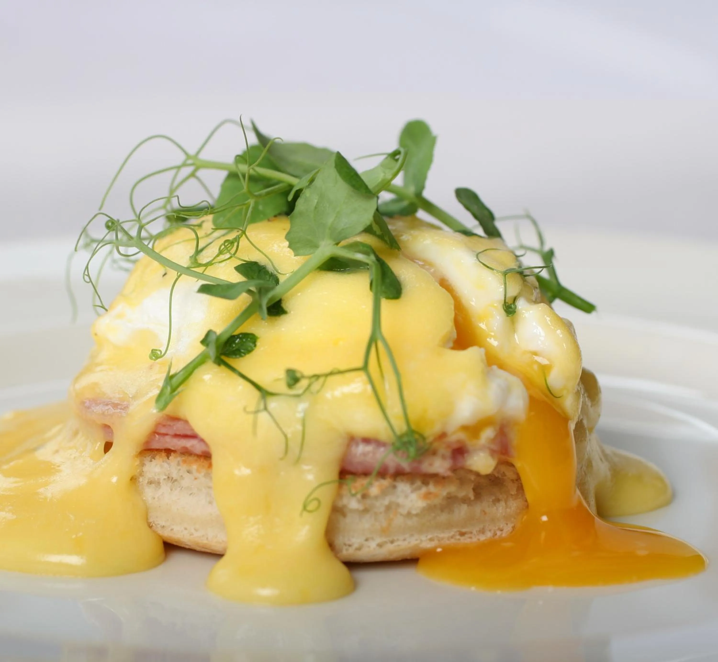 Restaurant/places to eat, Food in Duck's Inn