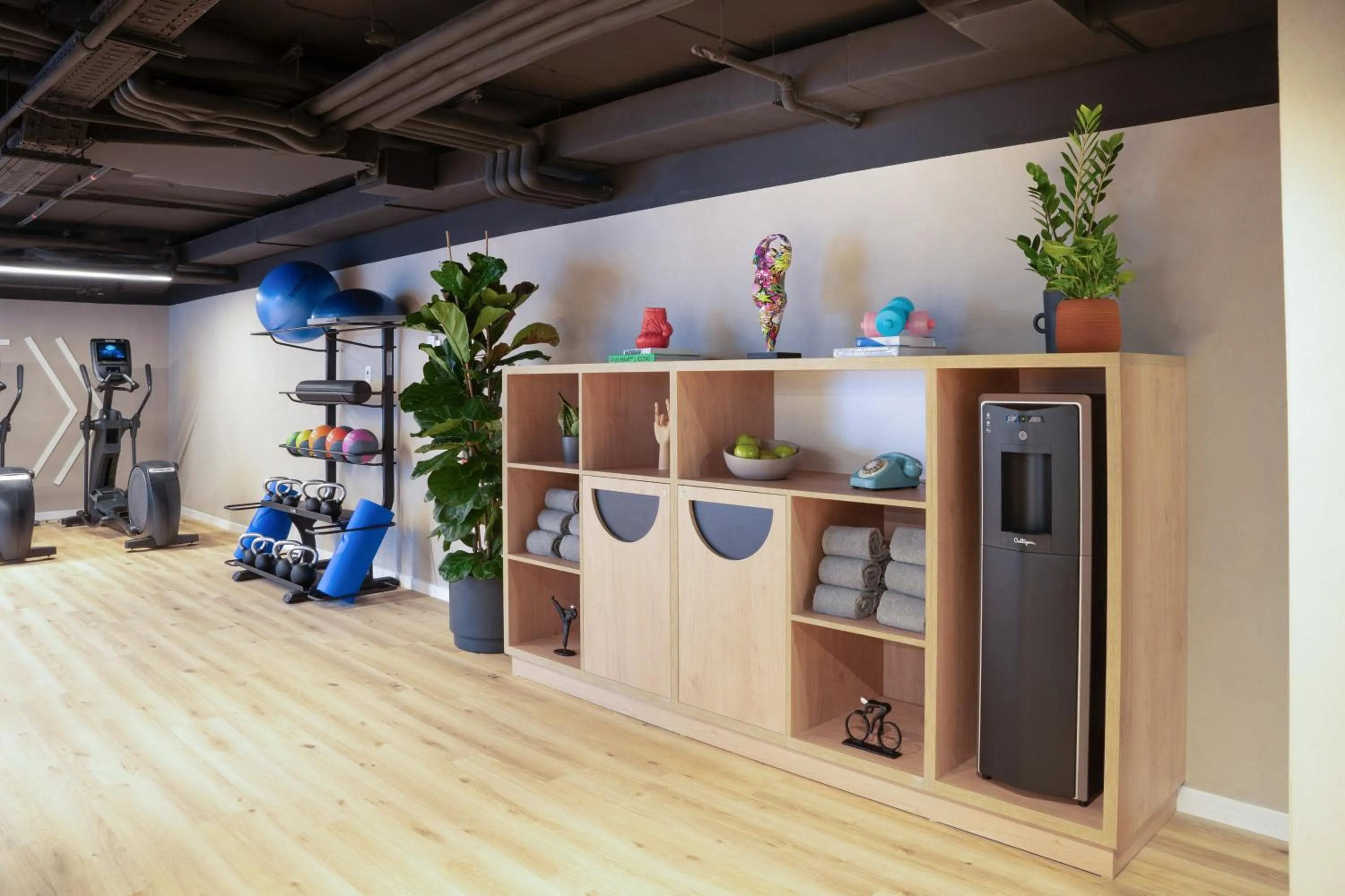 Fitness centre/facilities in INNSiDE by Meliá Madrid Valdebebas