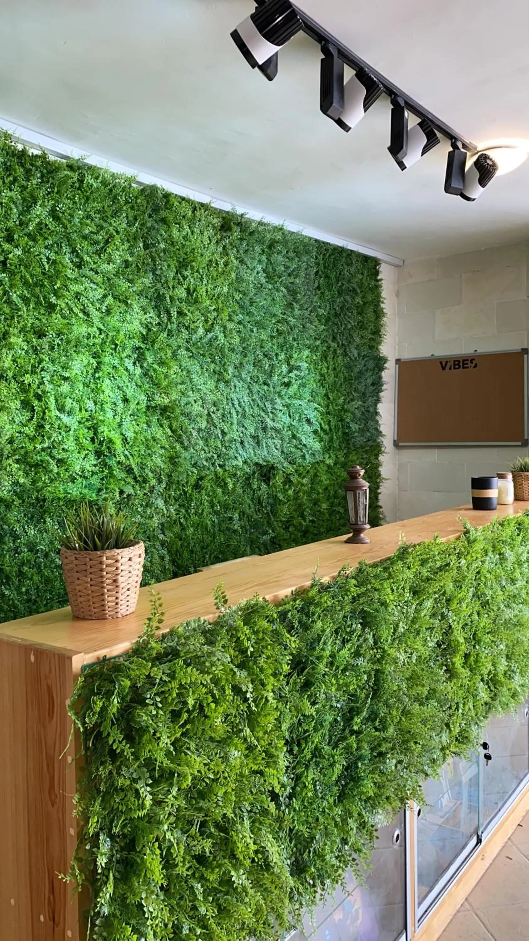 Lobby or reception in Blue Vision Diving Hotel