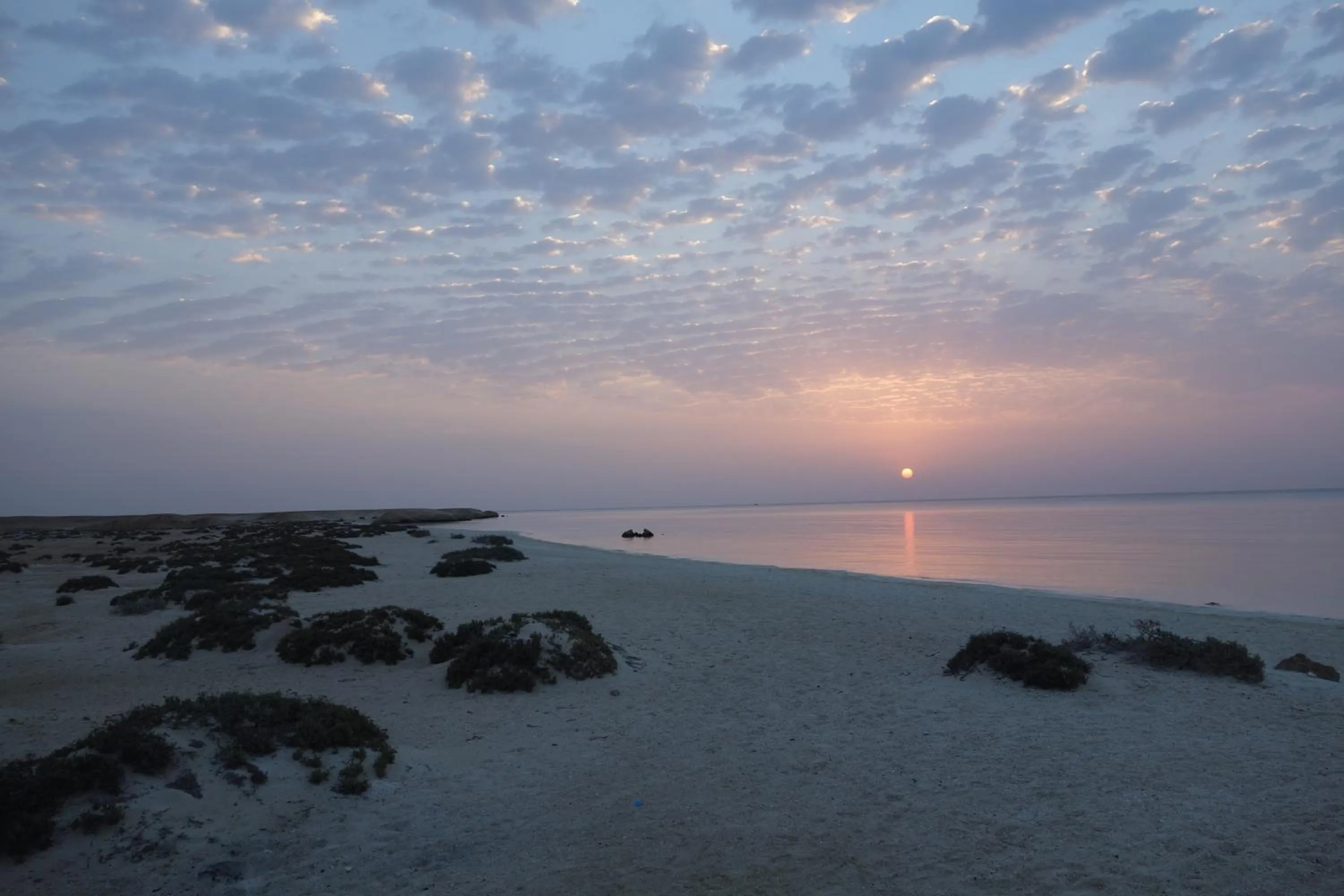 Beach in Blue Vision Diving Hotel