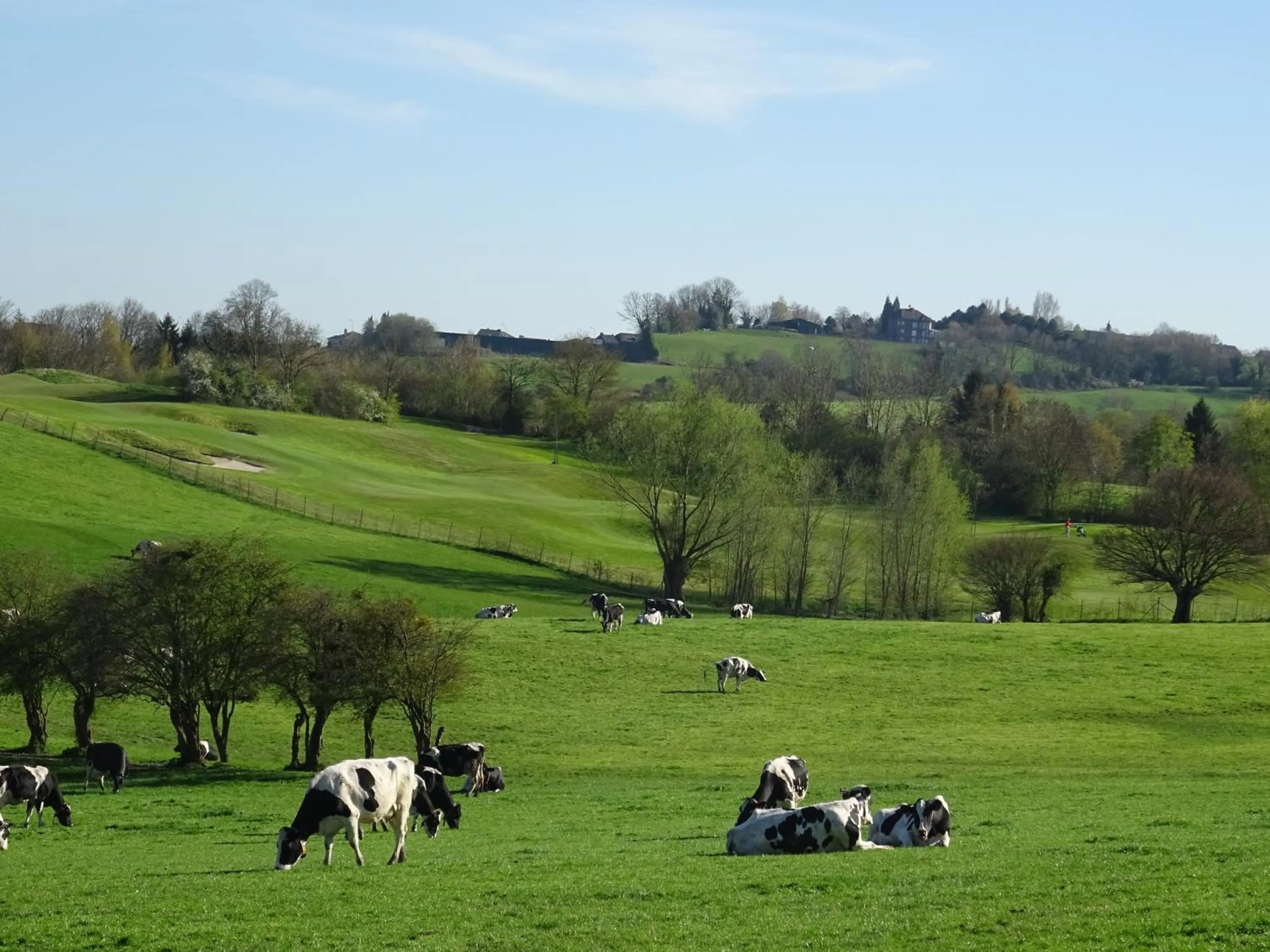 Nearby landmark in B&B Opus35