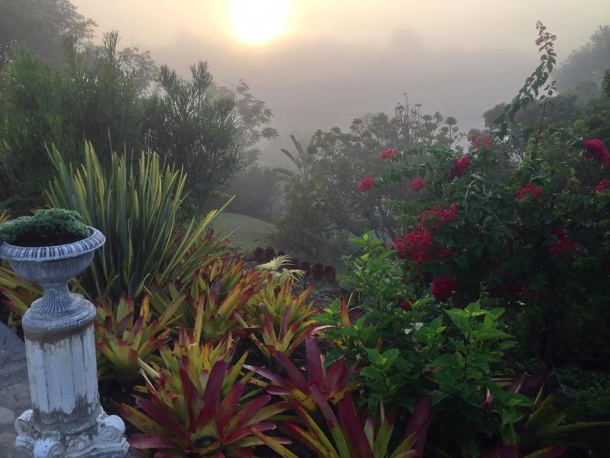 Garden view in theSolution BnB