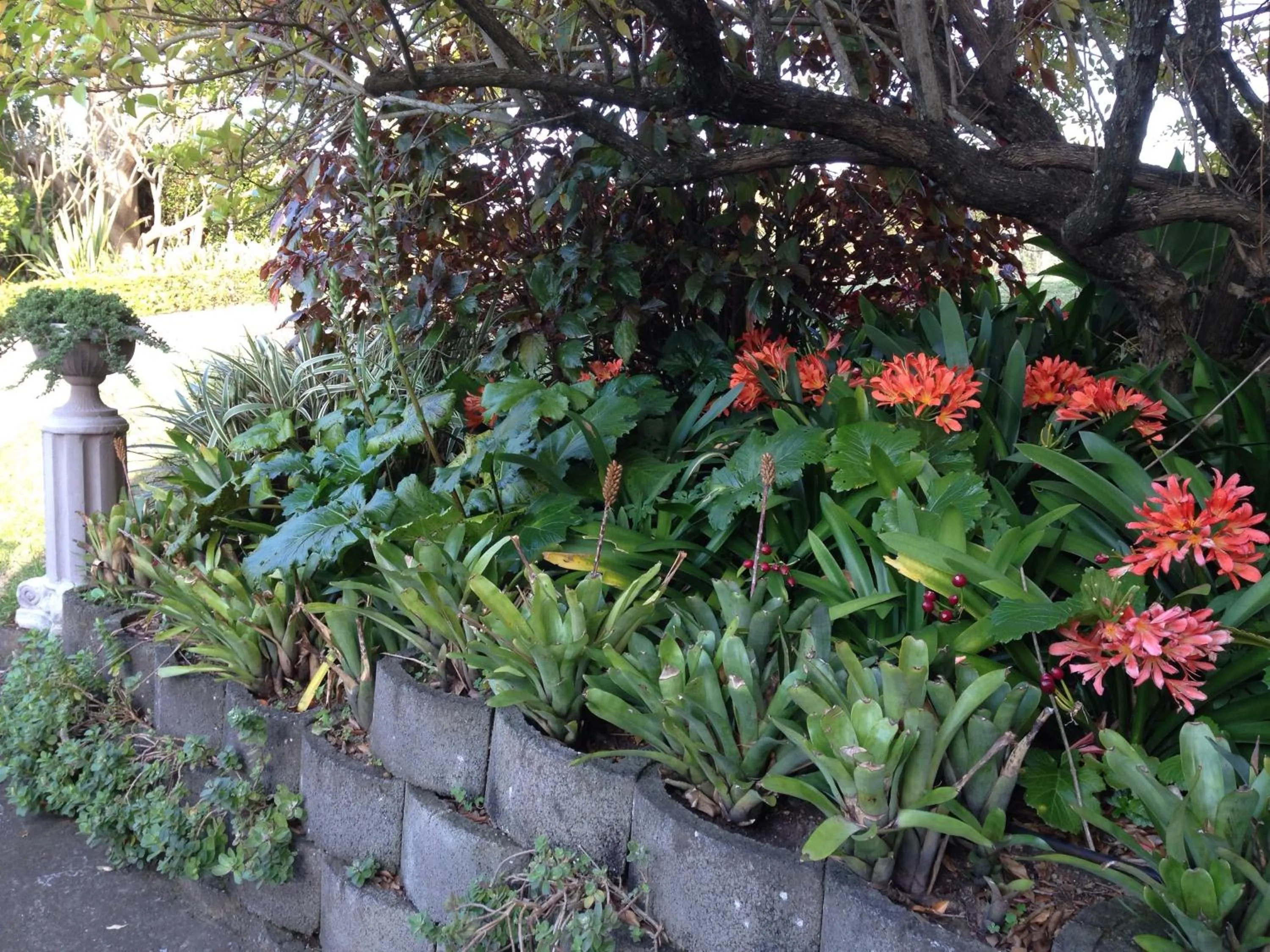 Garden in theSolution BnB