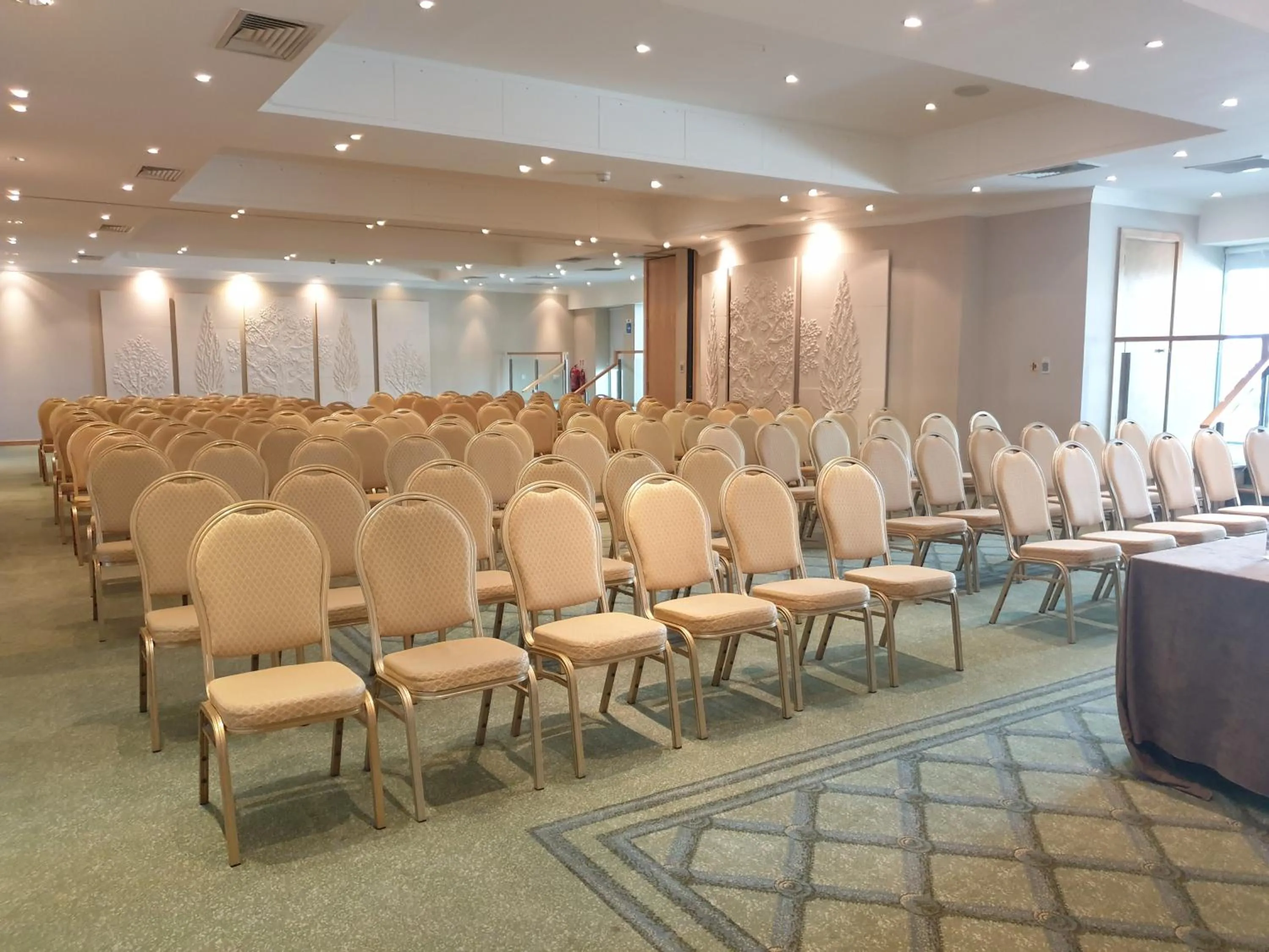 Meeting/conference room in Regency Park Hotel, Health Club & Spa
