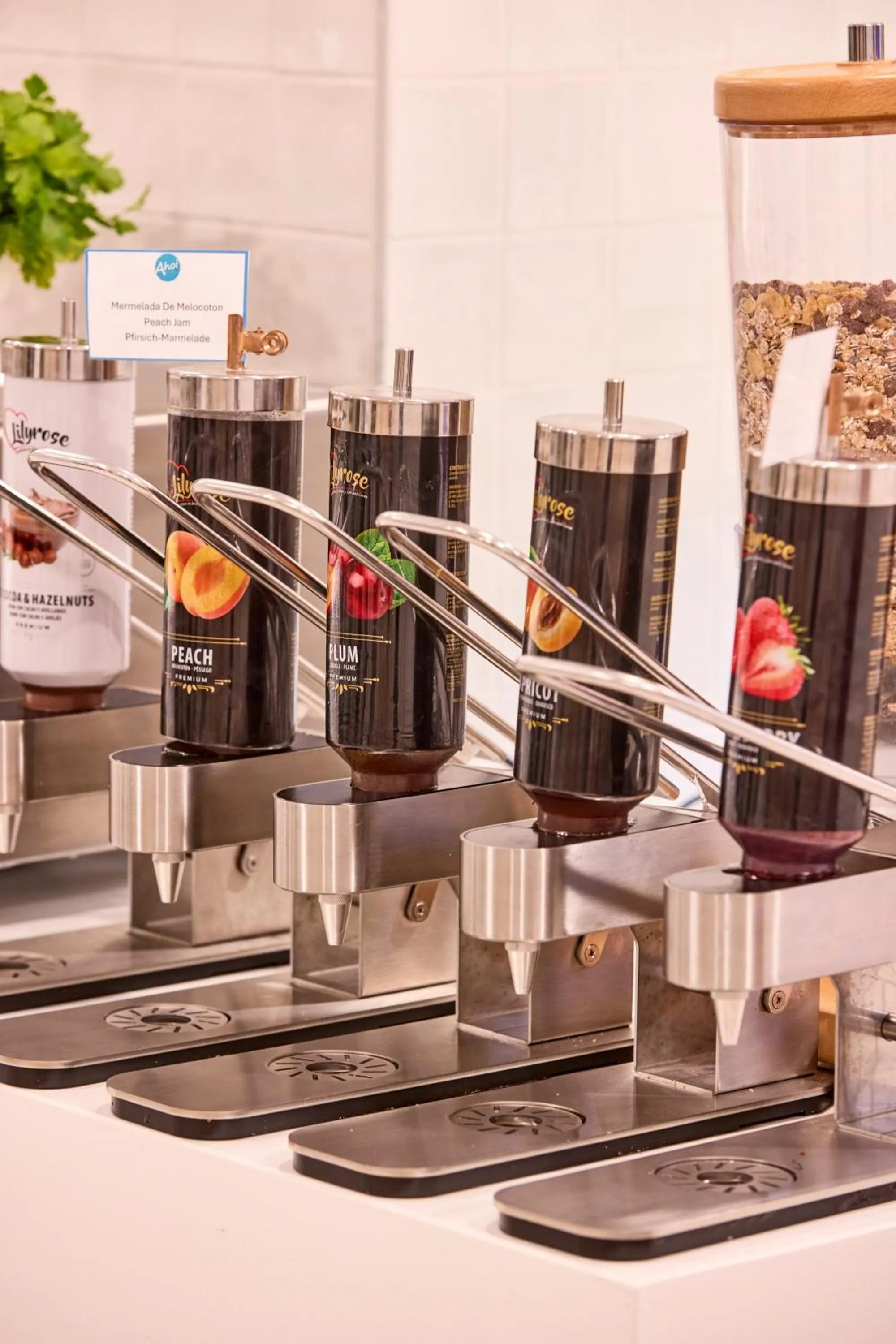 Food and drinks in AHOI! Urban Beach