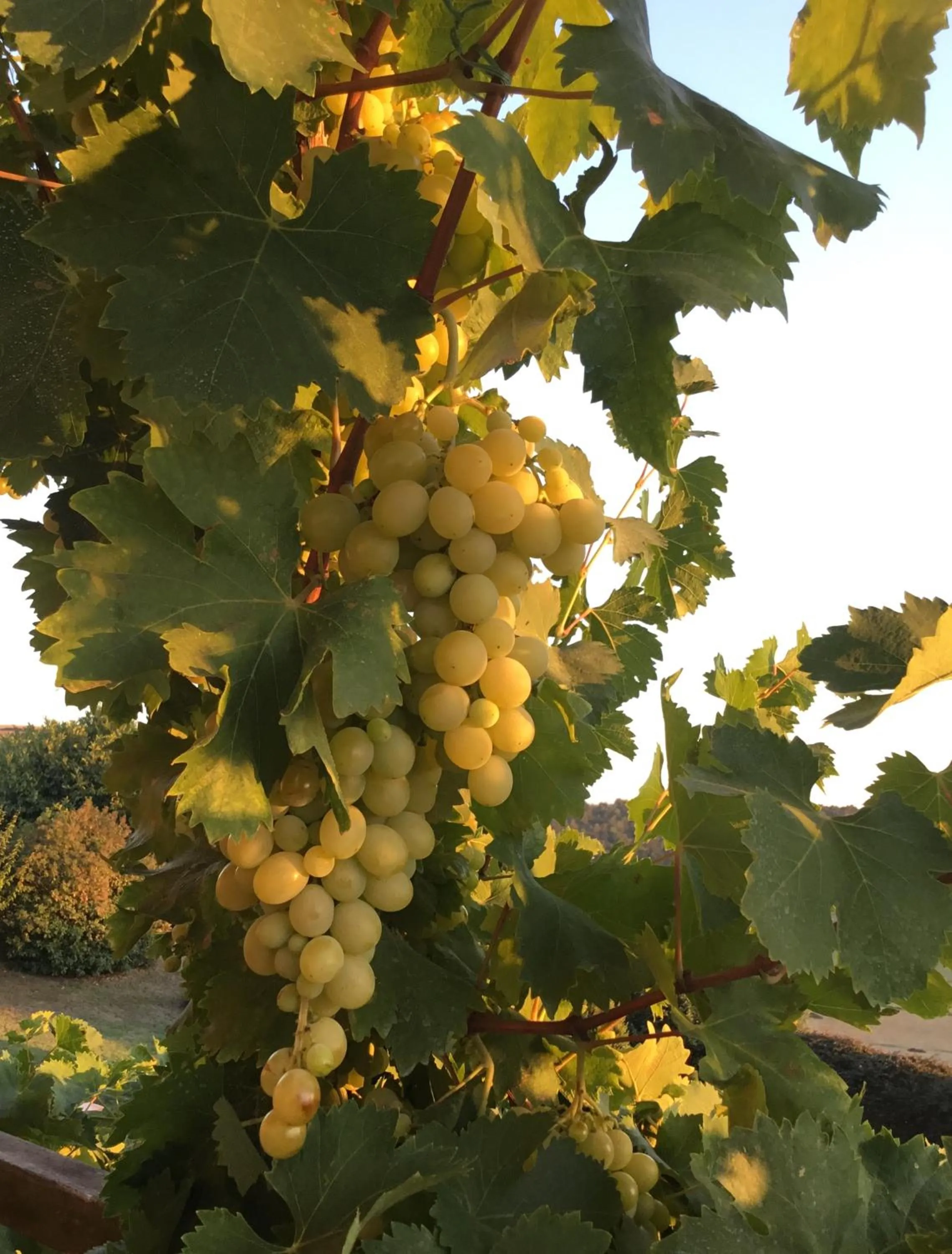 Autumn in Holiday home Sellanraa