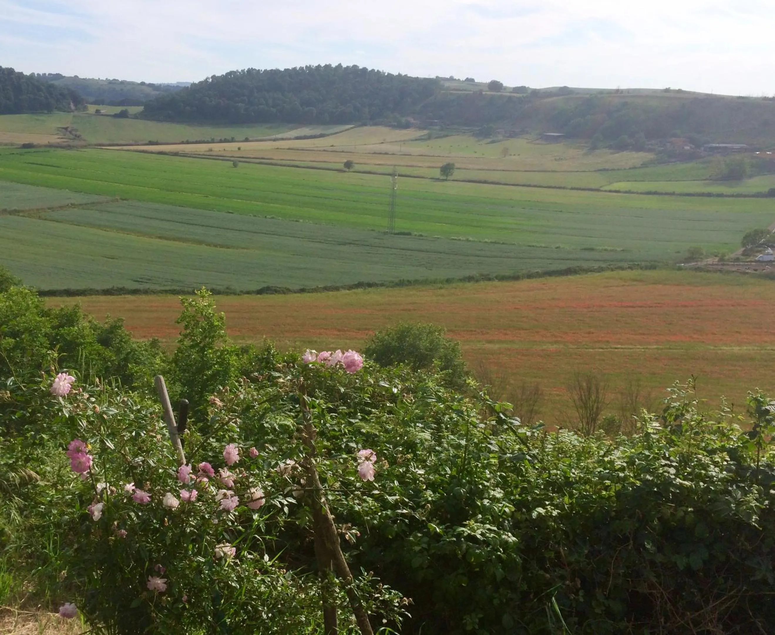 View (from property/room) in Holiday home Sellanraa