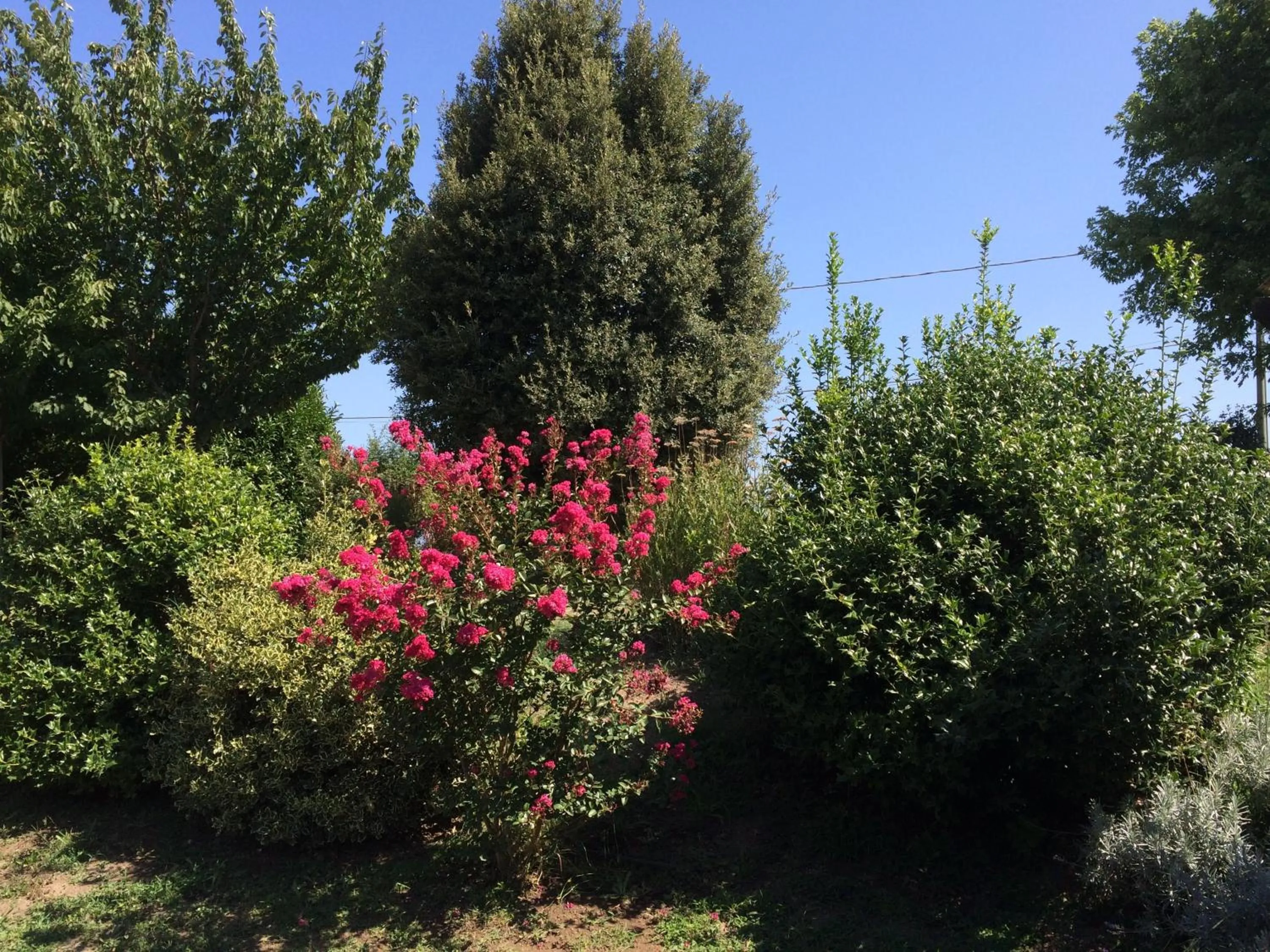 Day in Holiday home Sellanraa