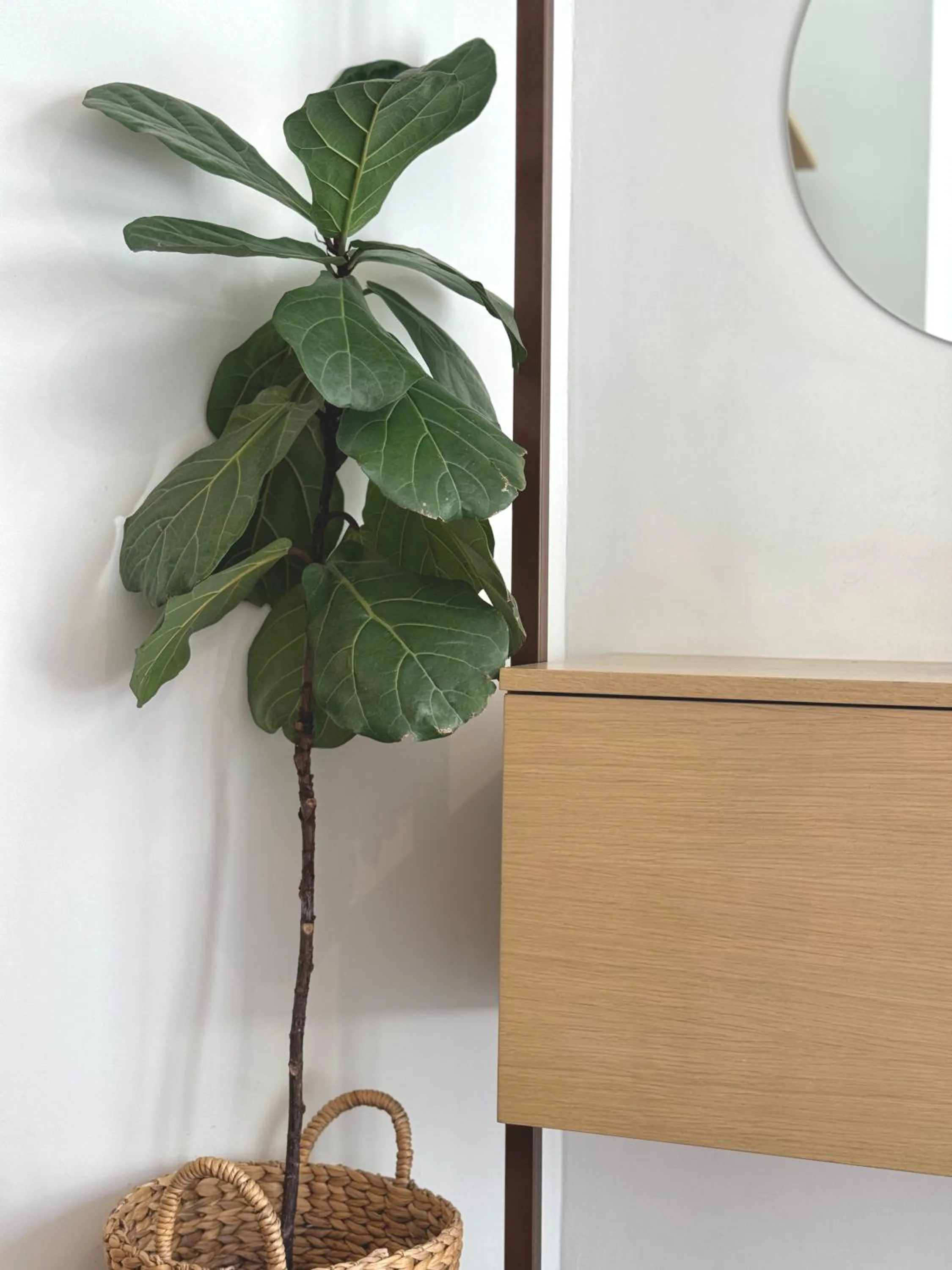 Decorative detail in Voulis Best Global Home