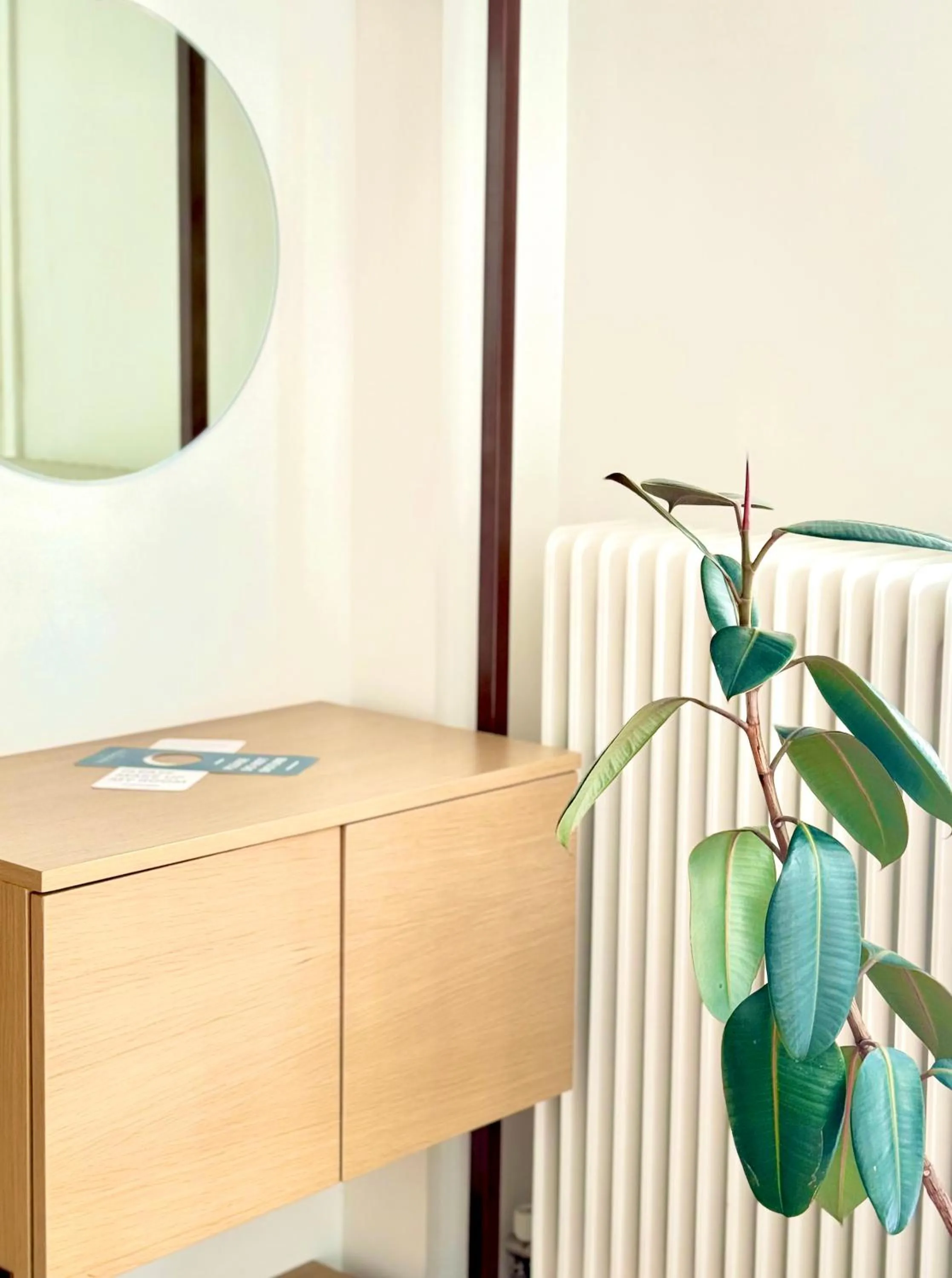 hair dresser in Voulis Best Global Home