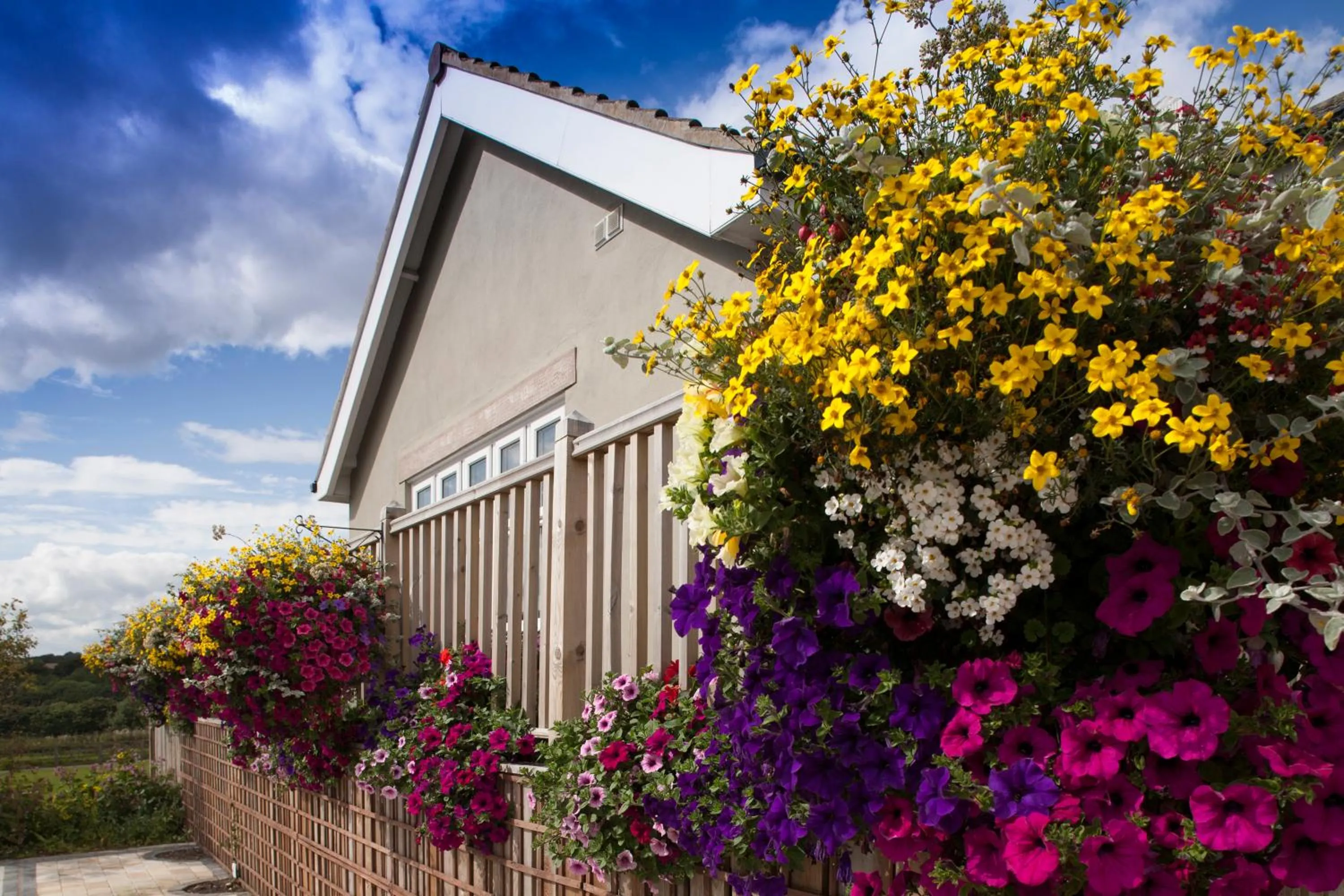 Property building in Black Horse Beamish