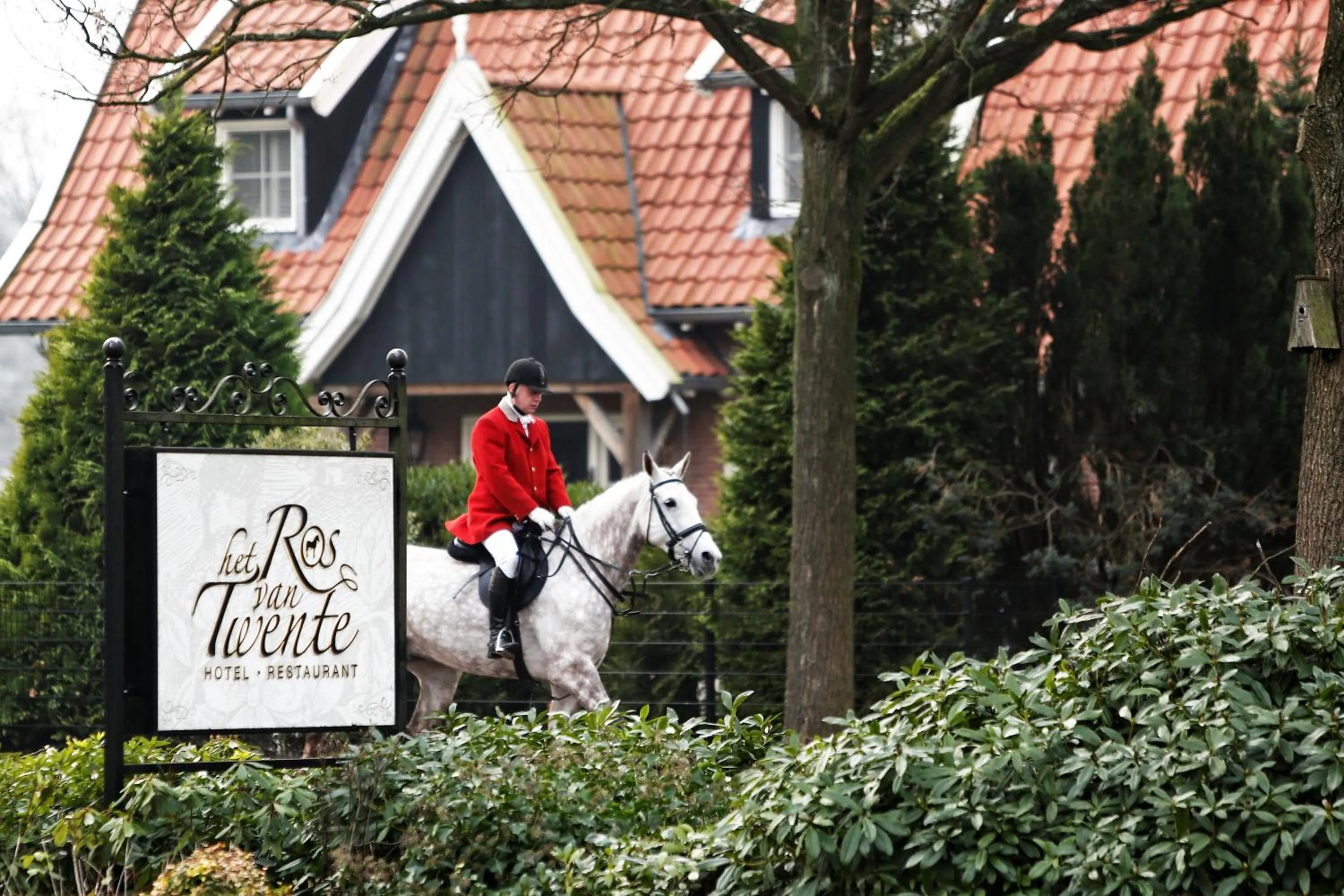 Horse-riding in Het Ros van Twente