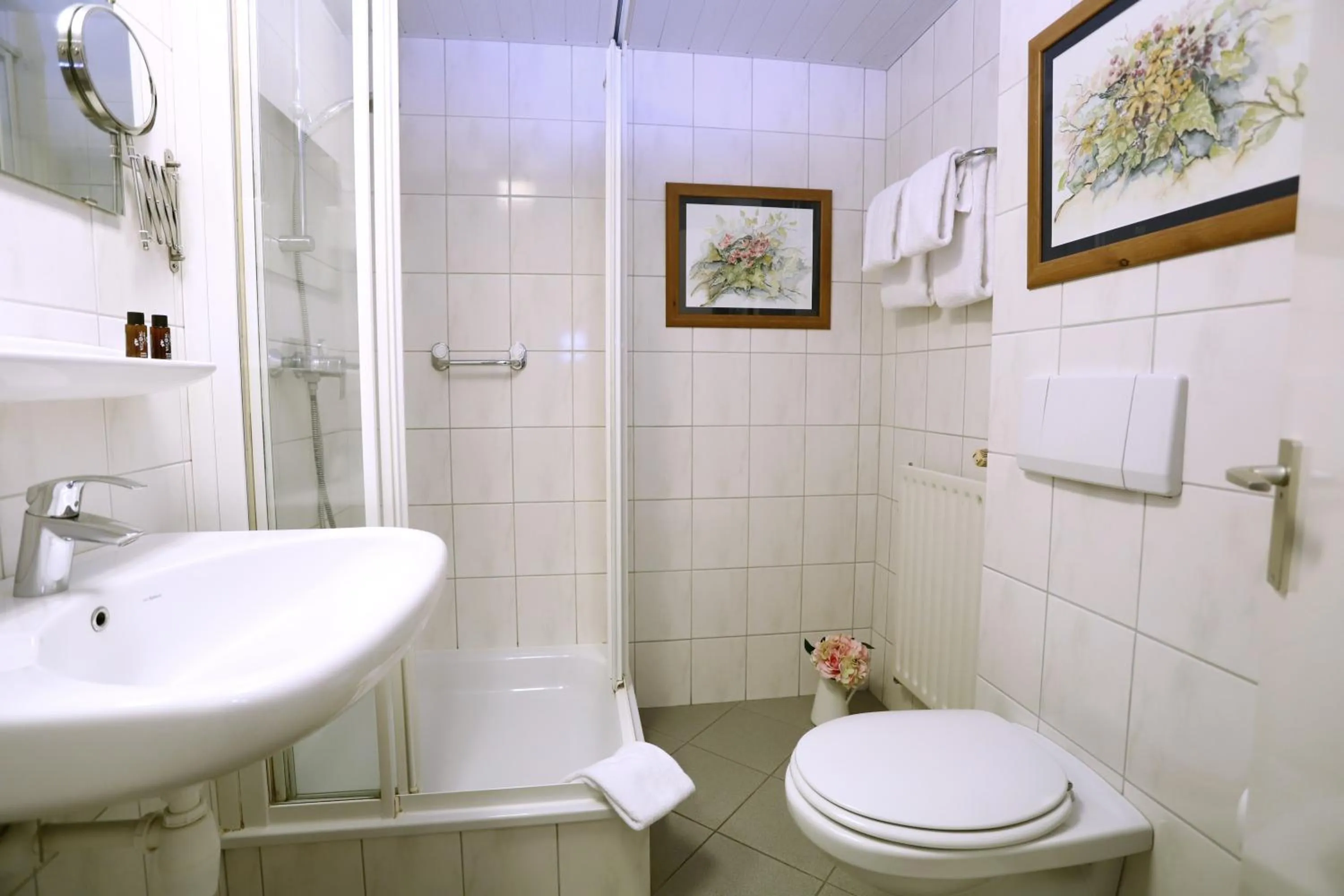 Bathroom in Het Ros van Twente