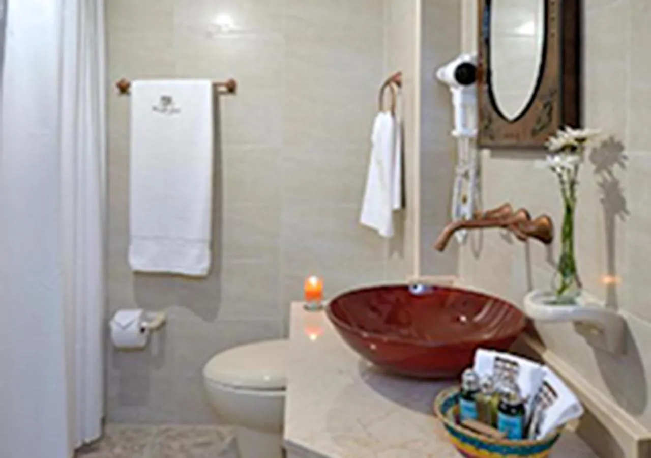 Shower in Hotel Dorado Plaza Boutique Calle del Arsenal