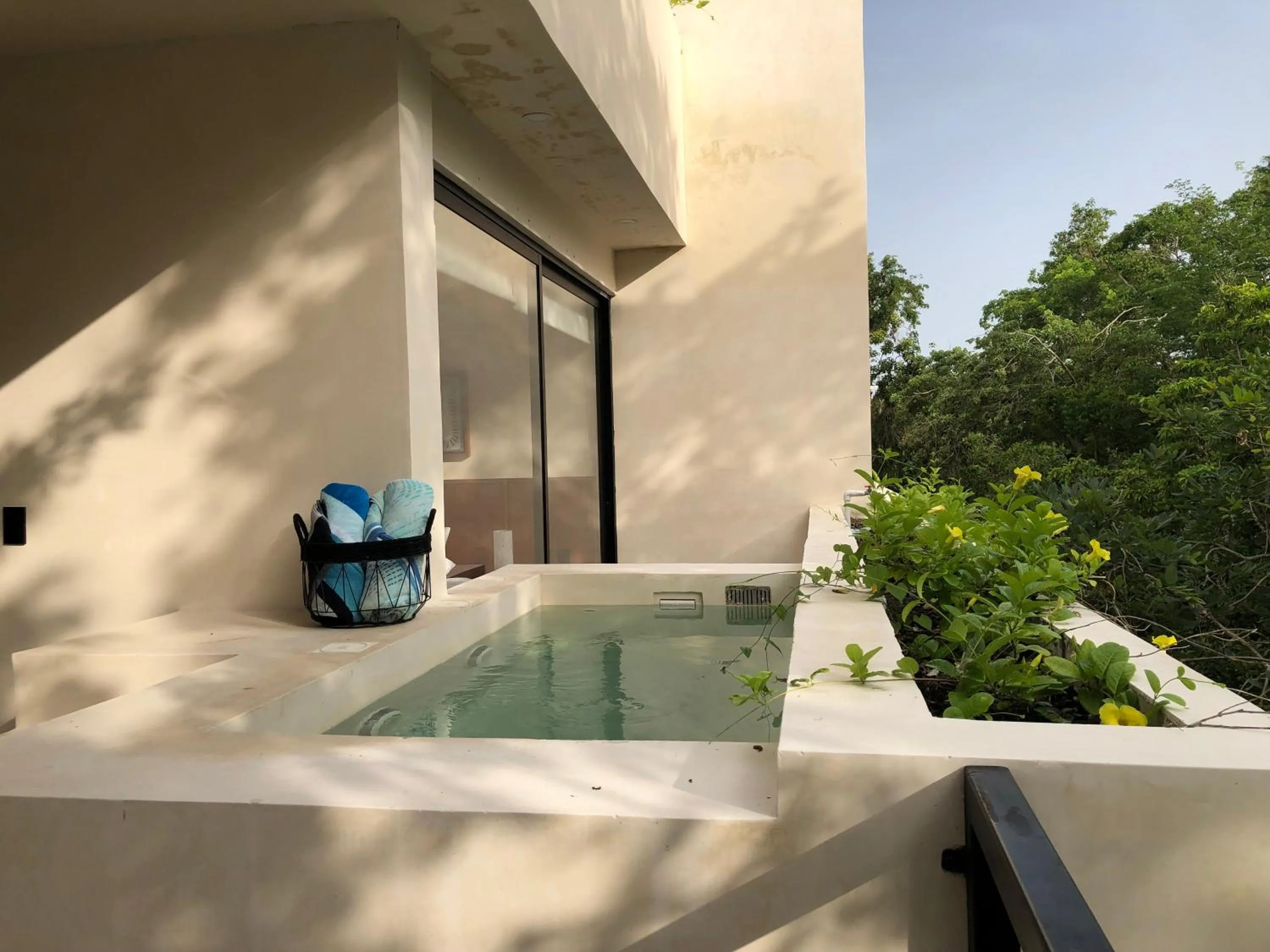 Swimming pool in Condominio Talulah Living Tulum