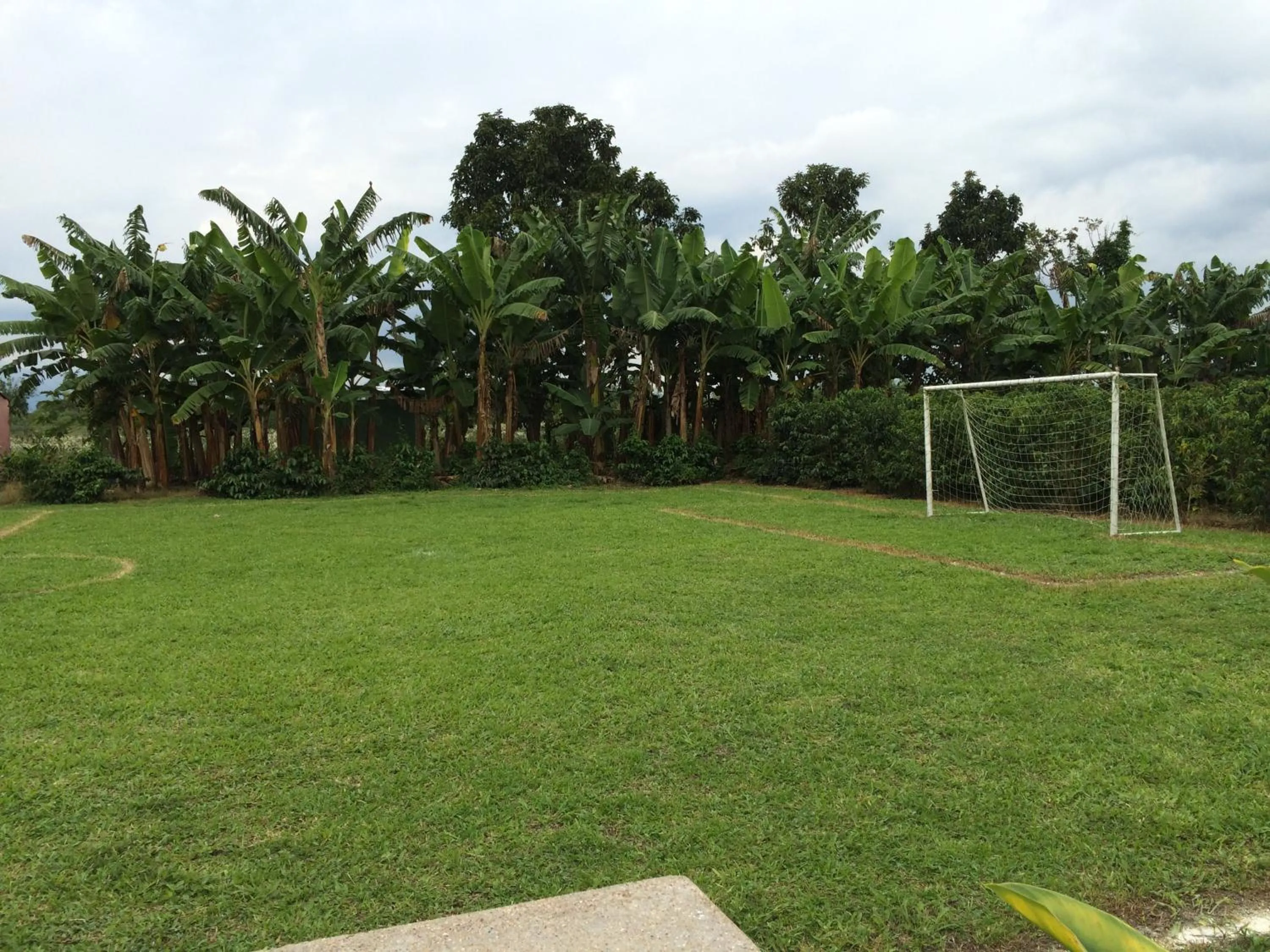 Area and facilities in Hotel Campestre Los Tucanes