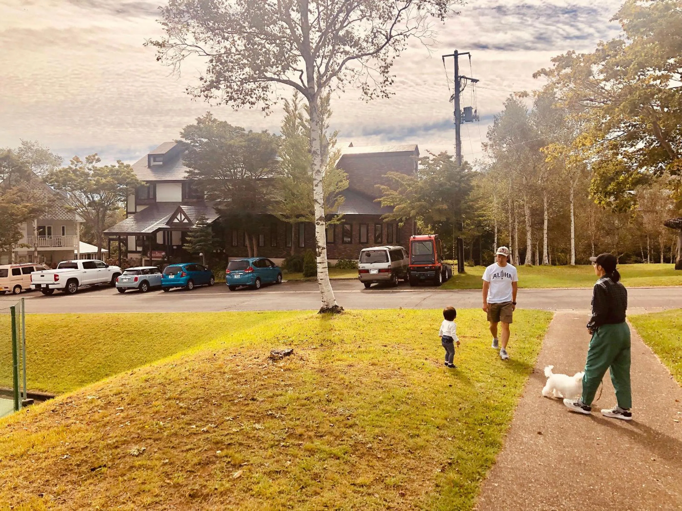 Other in Appi Arts Color