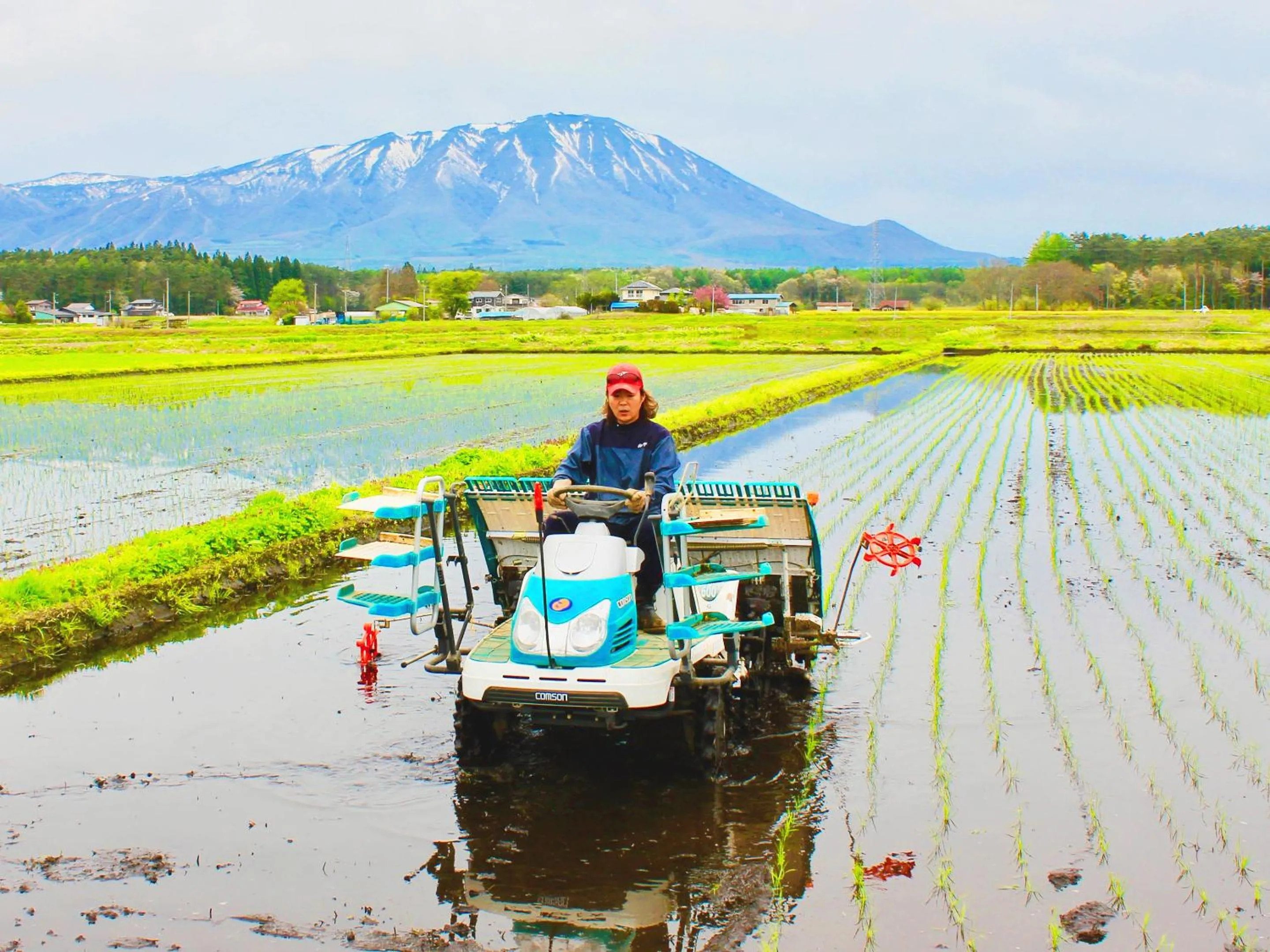 Other in Appi Arts Color