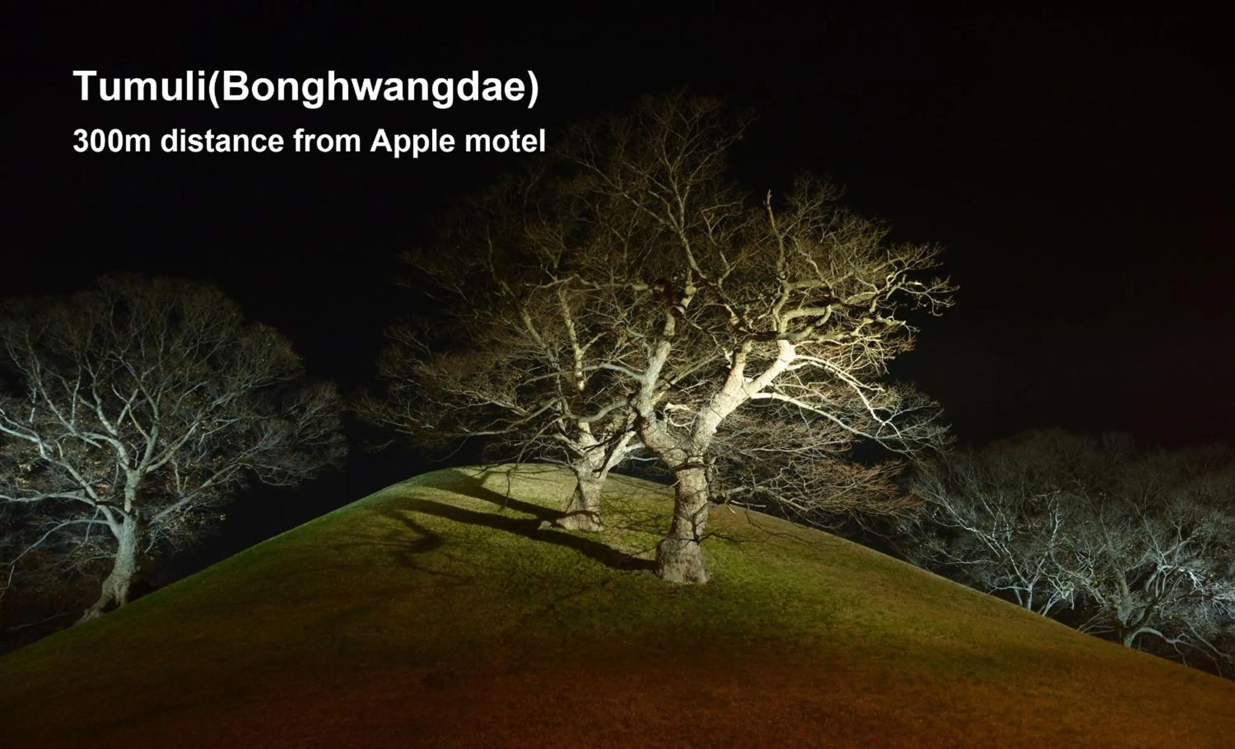 Nearby landmark in Apple House Mini Hotel