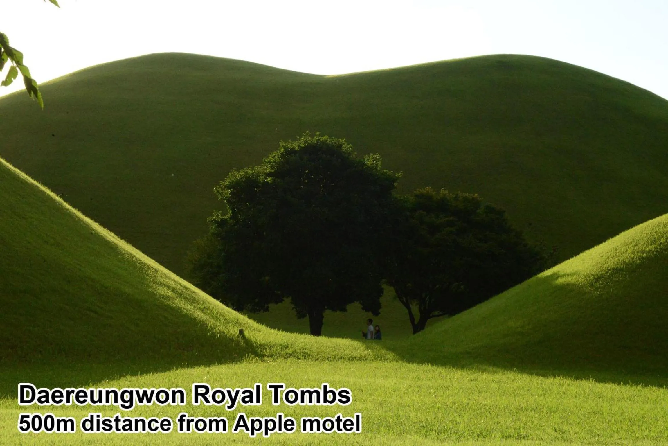 Nearby landmark in Apple House Mini Hotel