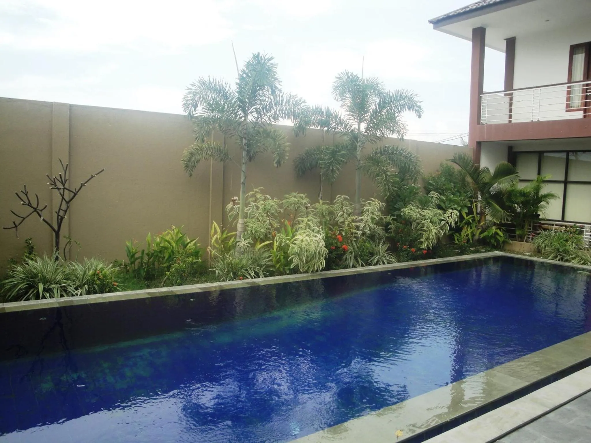 Swimming pool in Jazz Hotel Palu