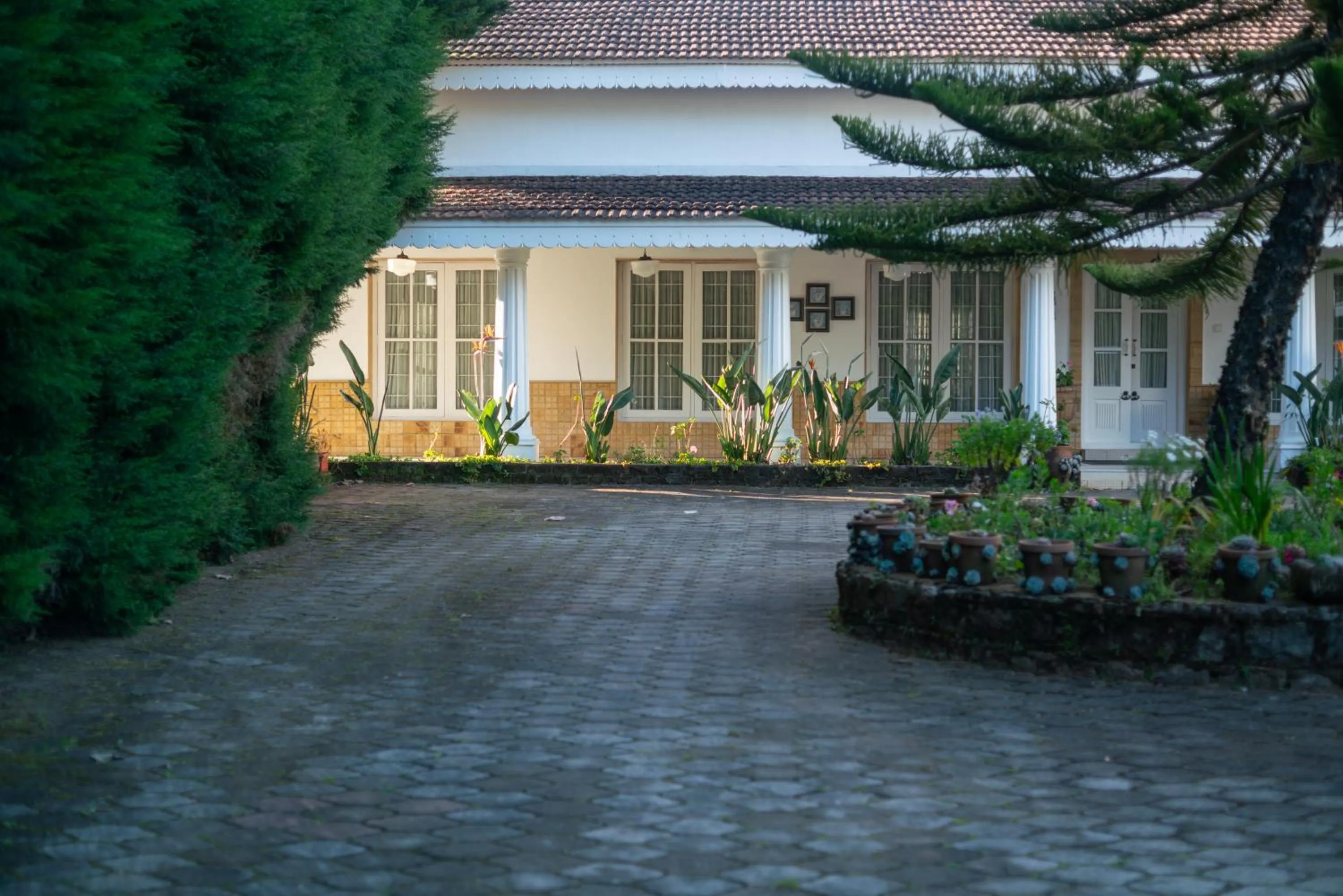 Garden in Marlihill Bungalow - A CGH Earth SAHA Experience