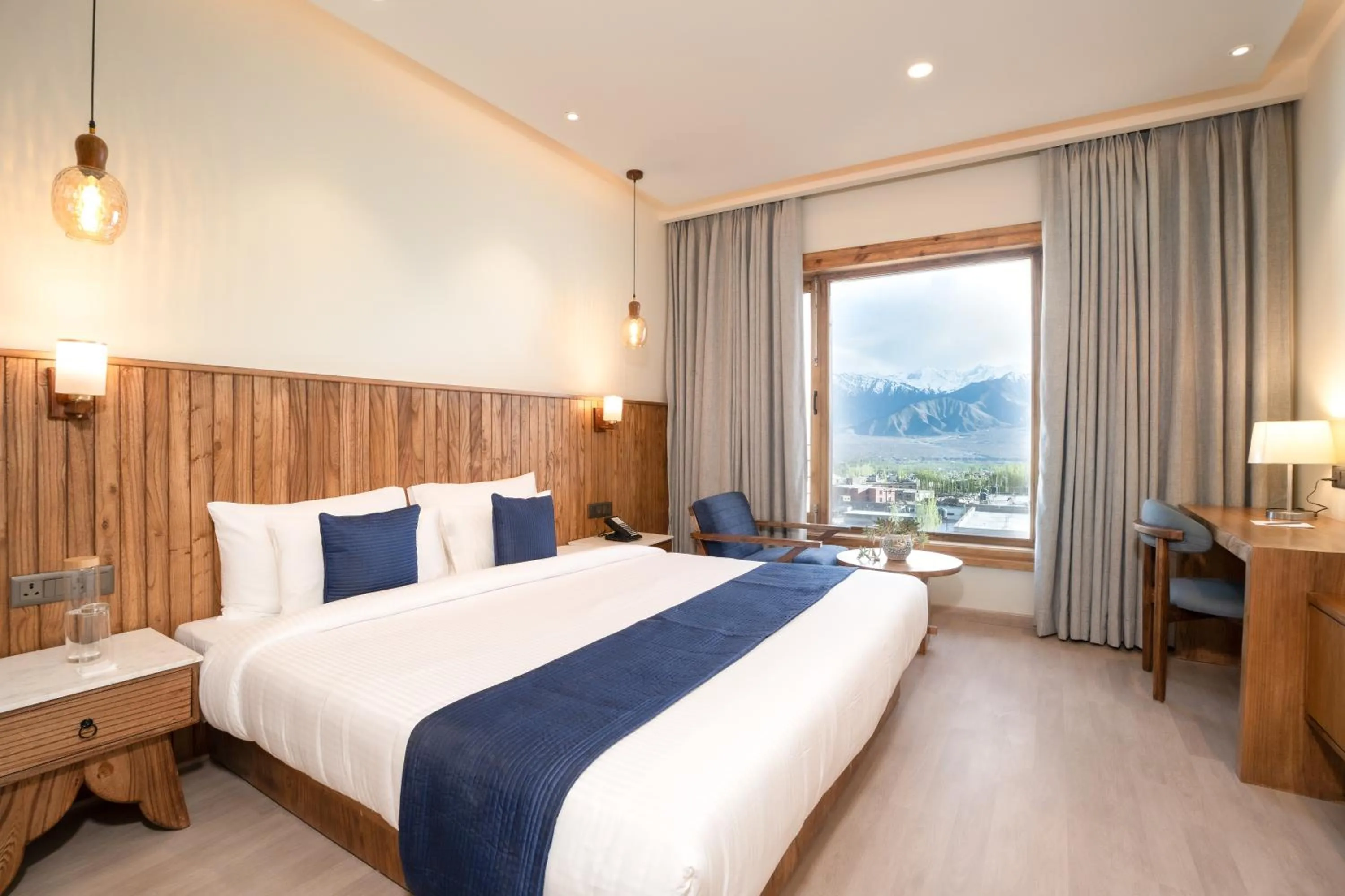 Natural landscape in The Highland Ladakh