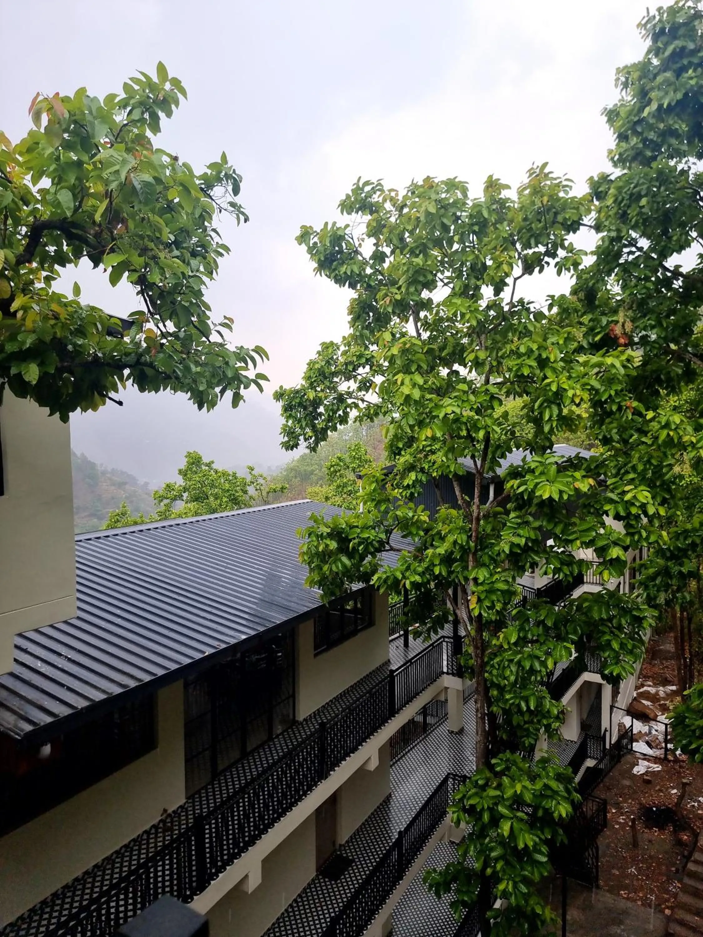 View (from property/room) in Marten's Wilderness Retreat