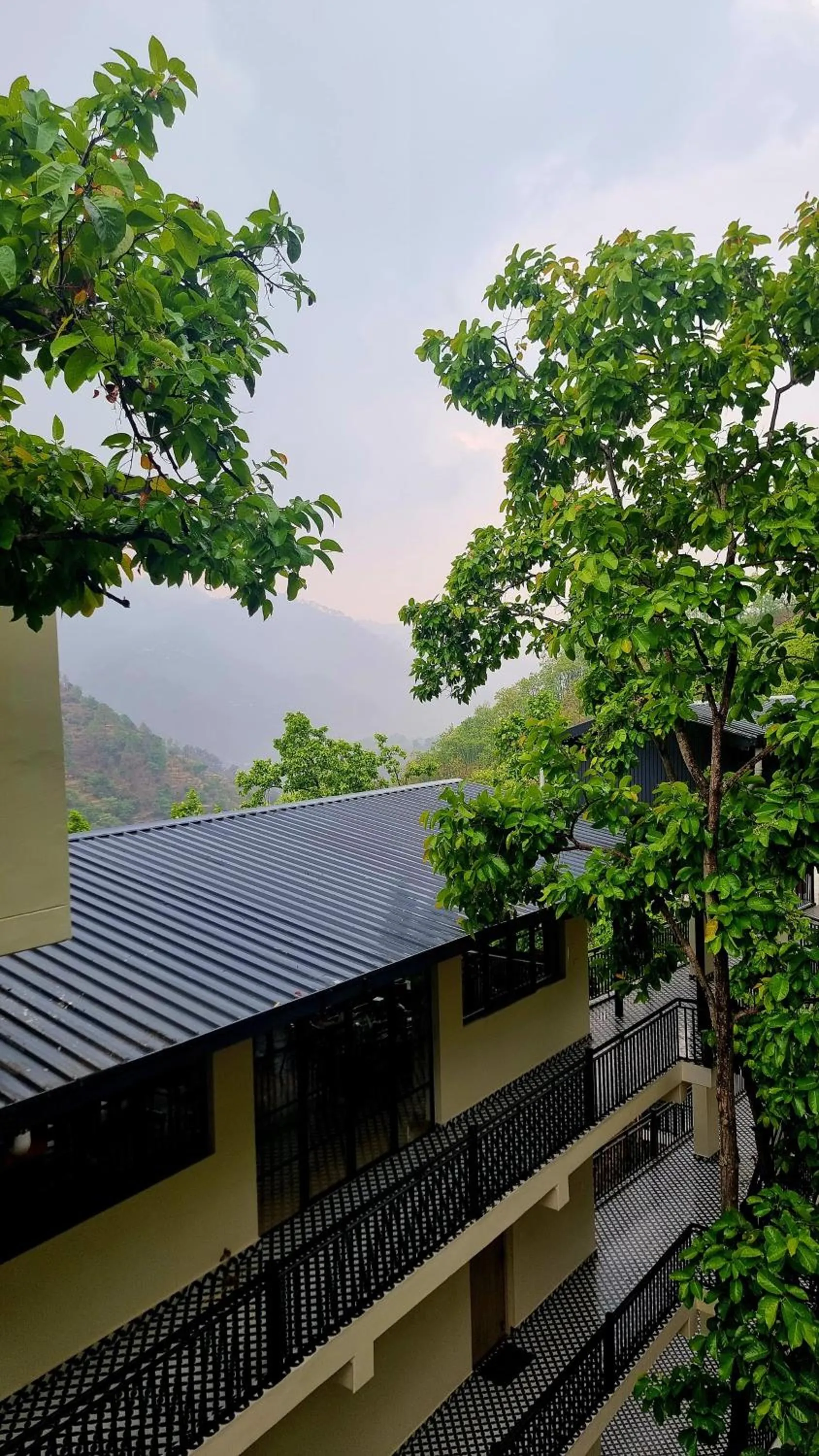 View (from property/room) in Marten's Wilderness Retreat