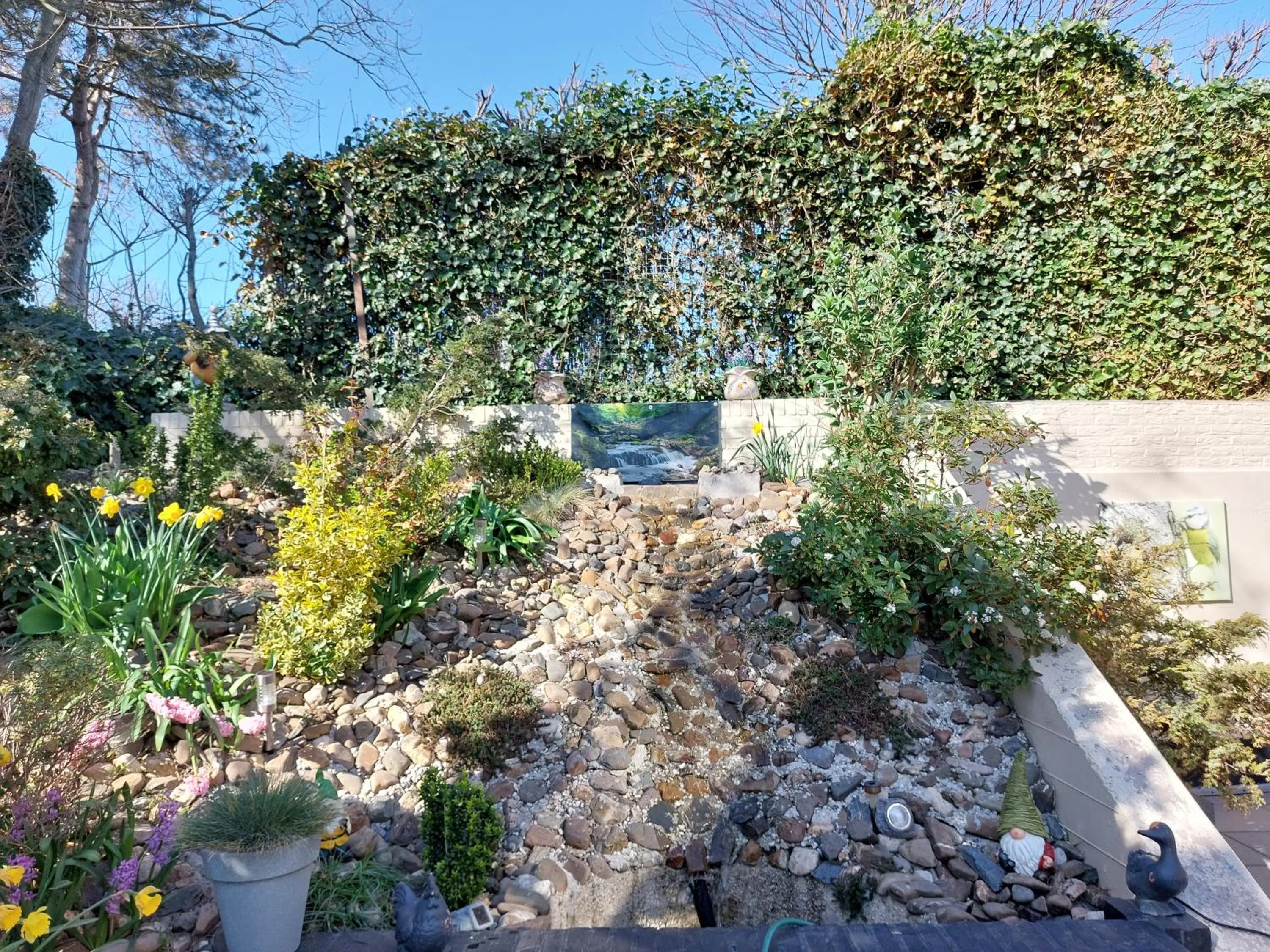 Garden in Hotel De Dennen