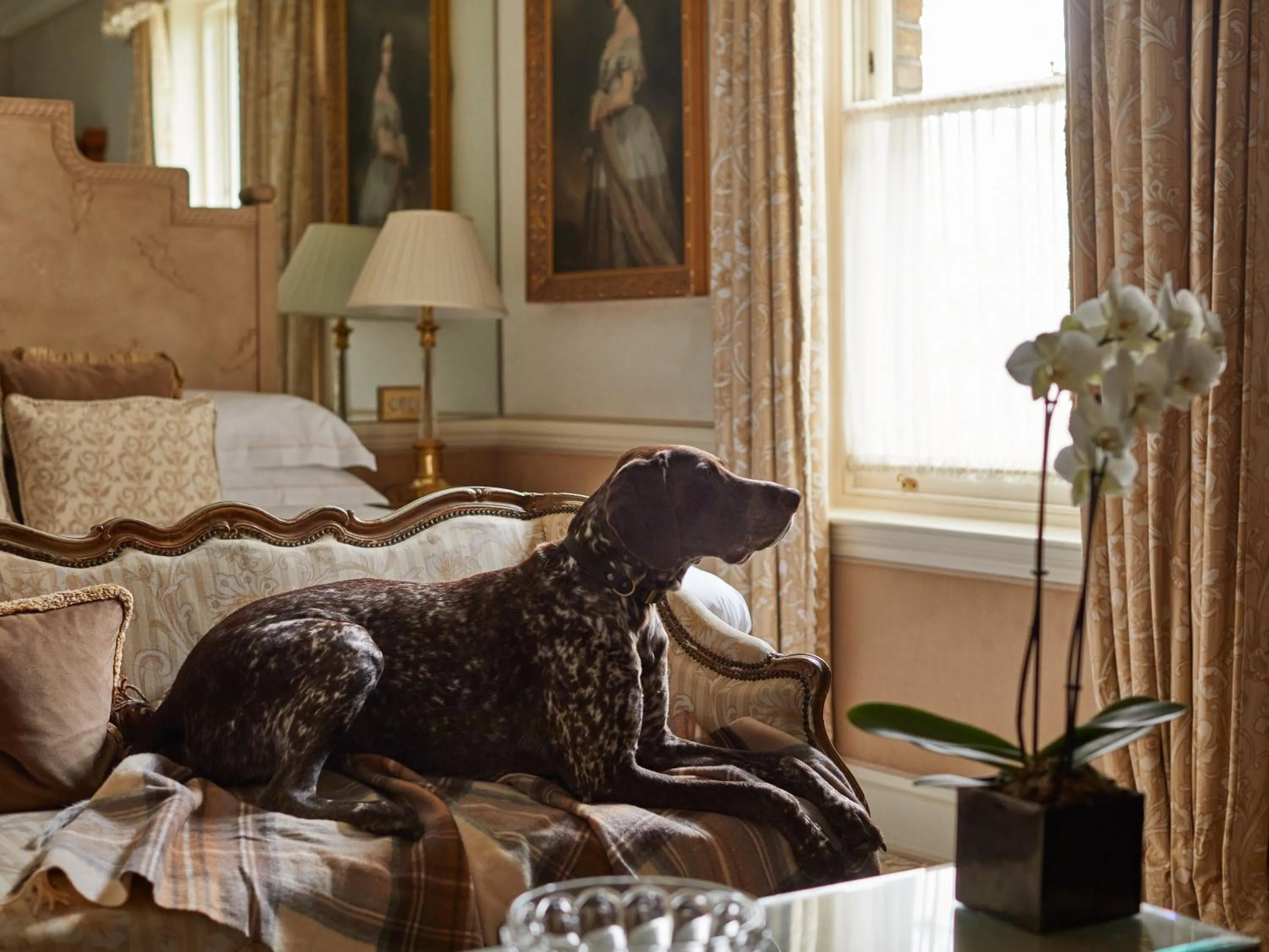 Photo of the whole room in Egerton House