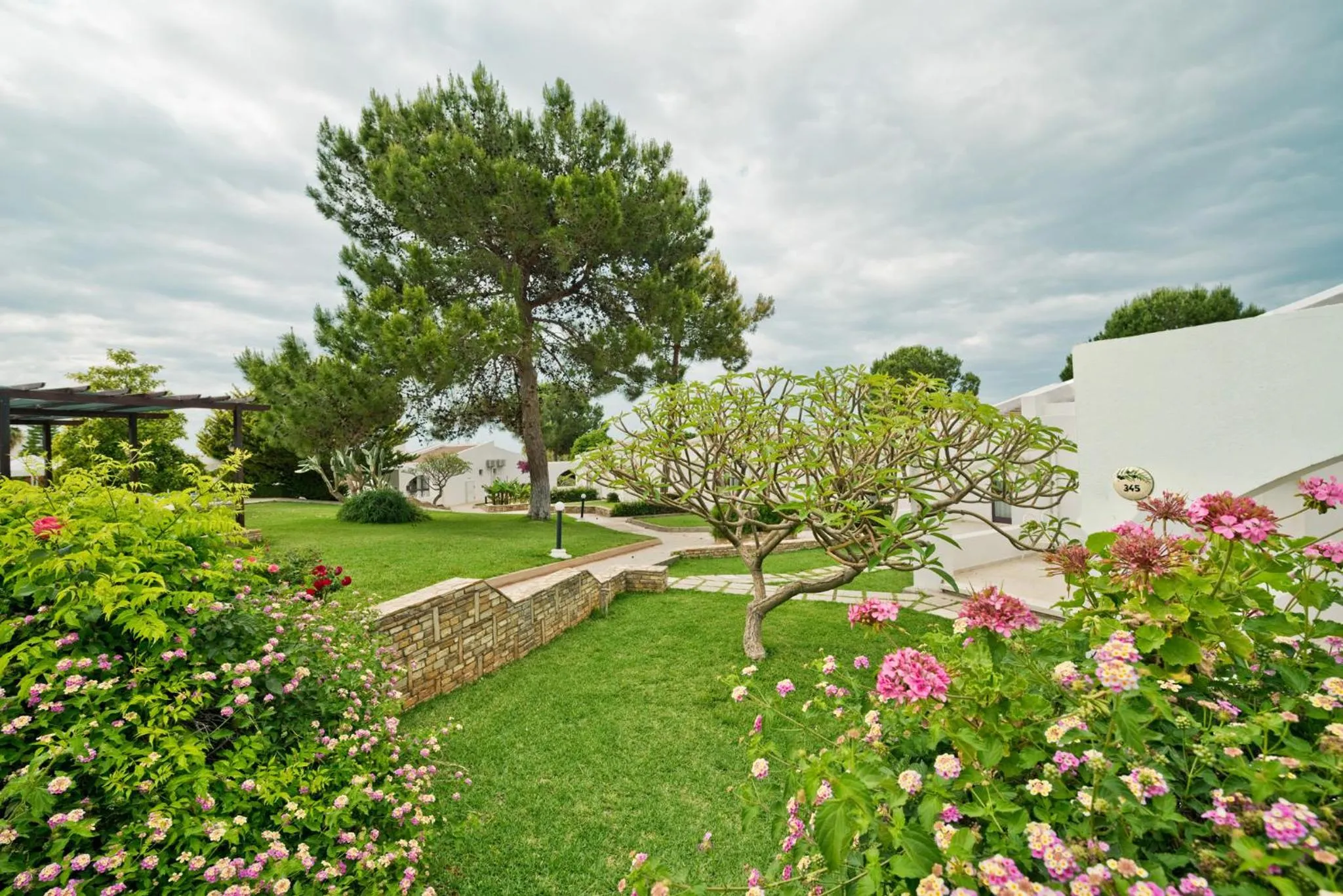 Day in The Olive Tree Hotel