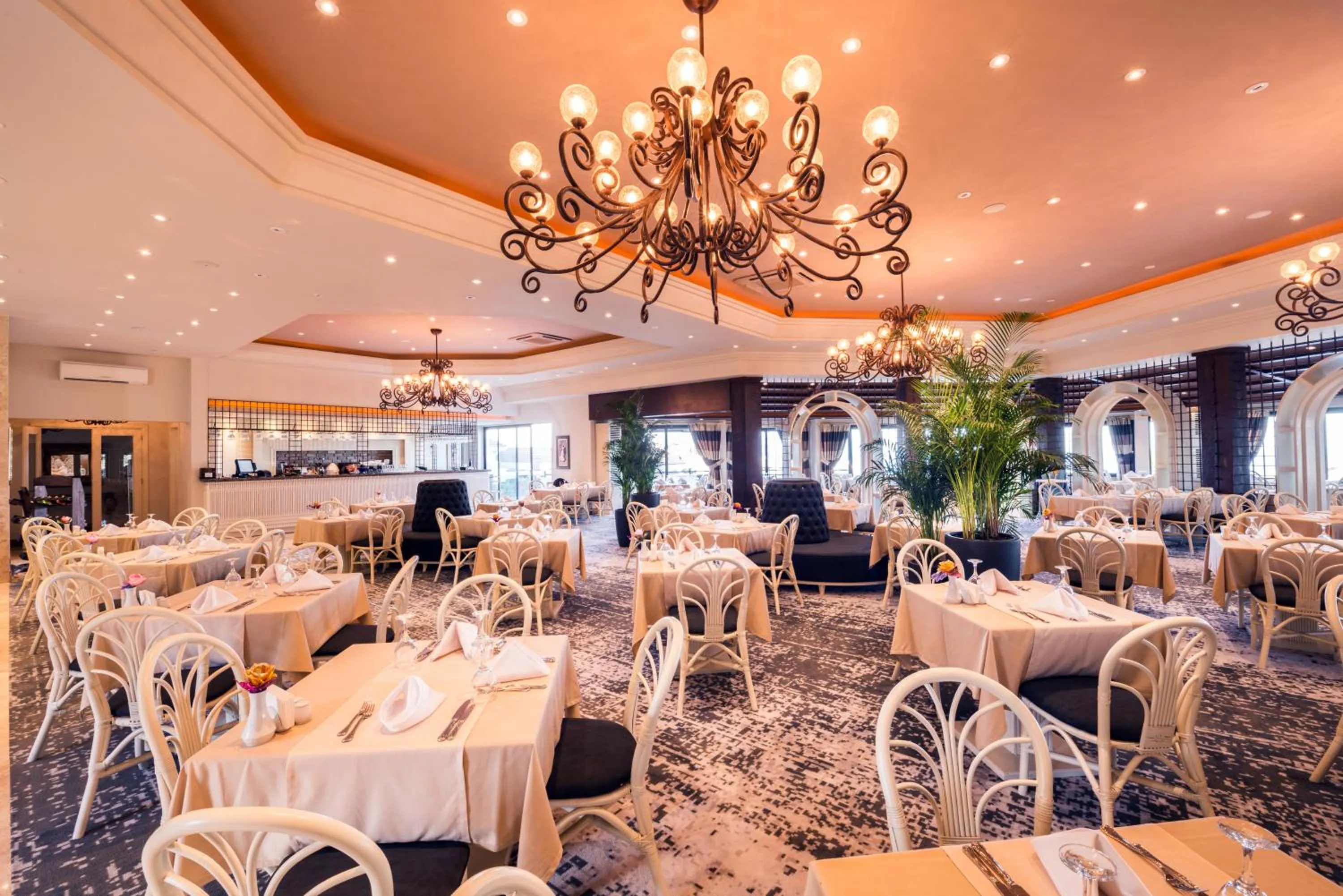 Restaurant/places to eat in The Olive Tree Hotel