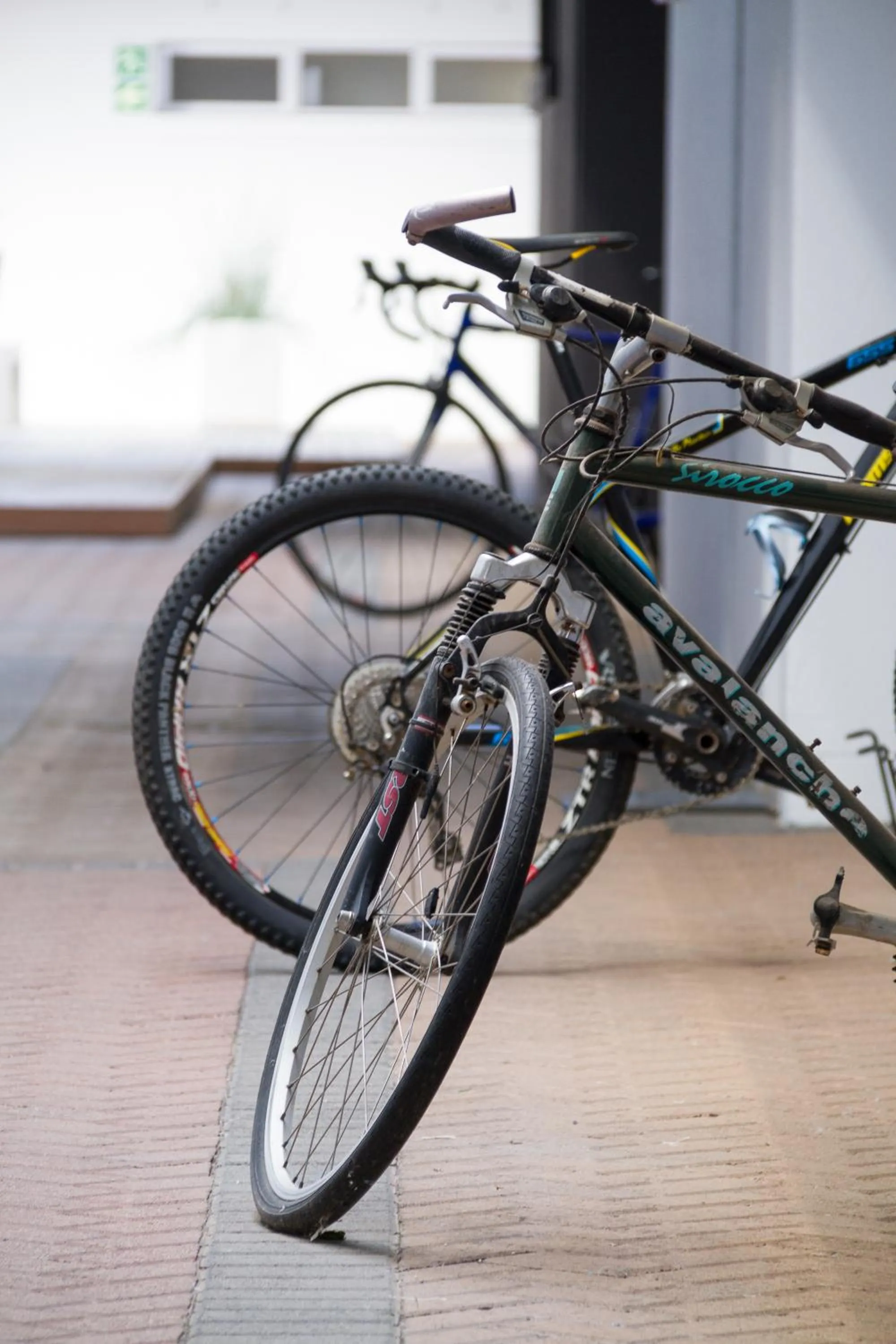 Cycling in WINK Aparthotel Quiver Tree