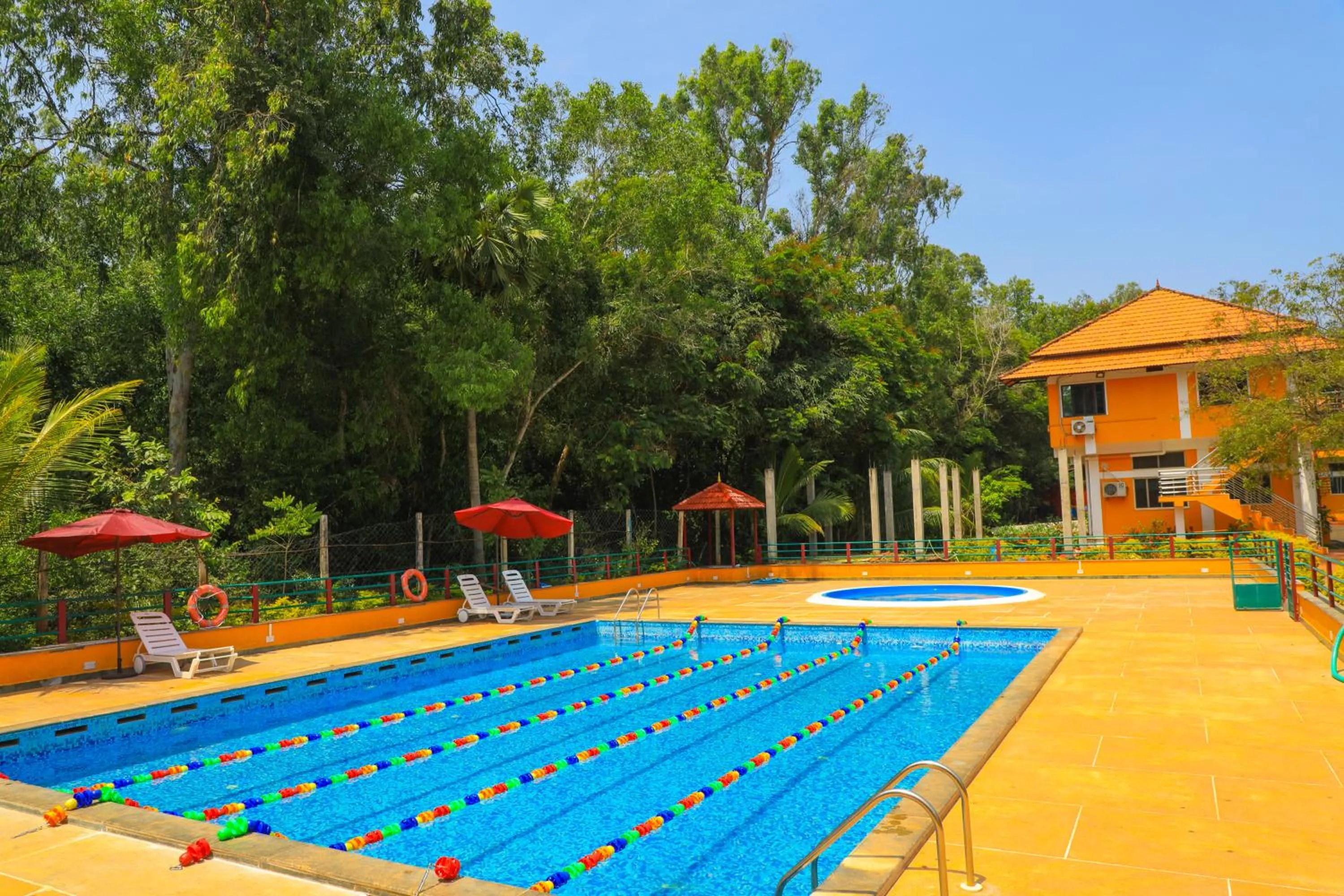 Pool view in Auro Wellness Castle