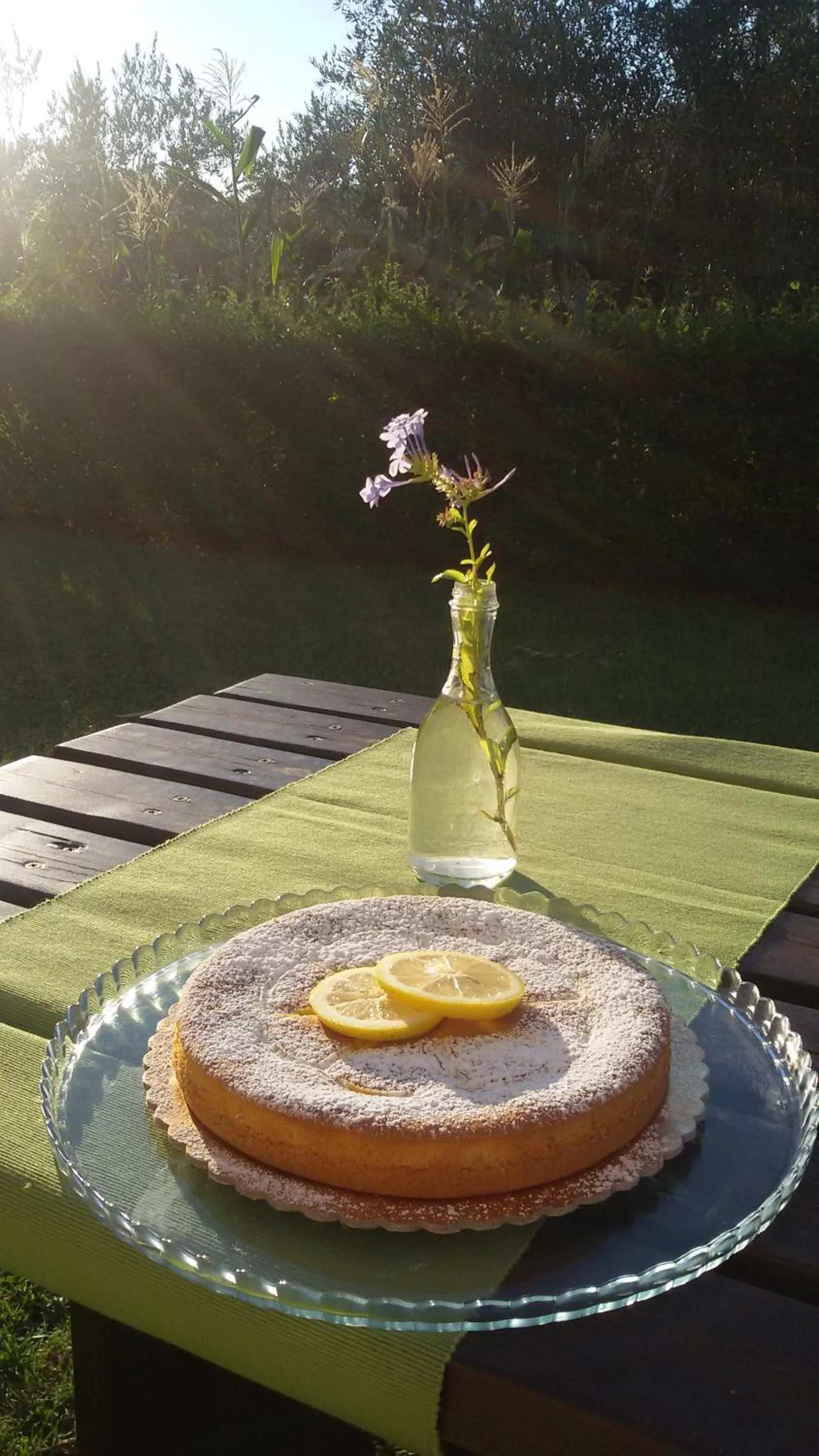 Bed and breakfast Aratro & Rosmarino