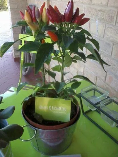 Other in Bed and breakfast Aratro & Rosmarino