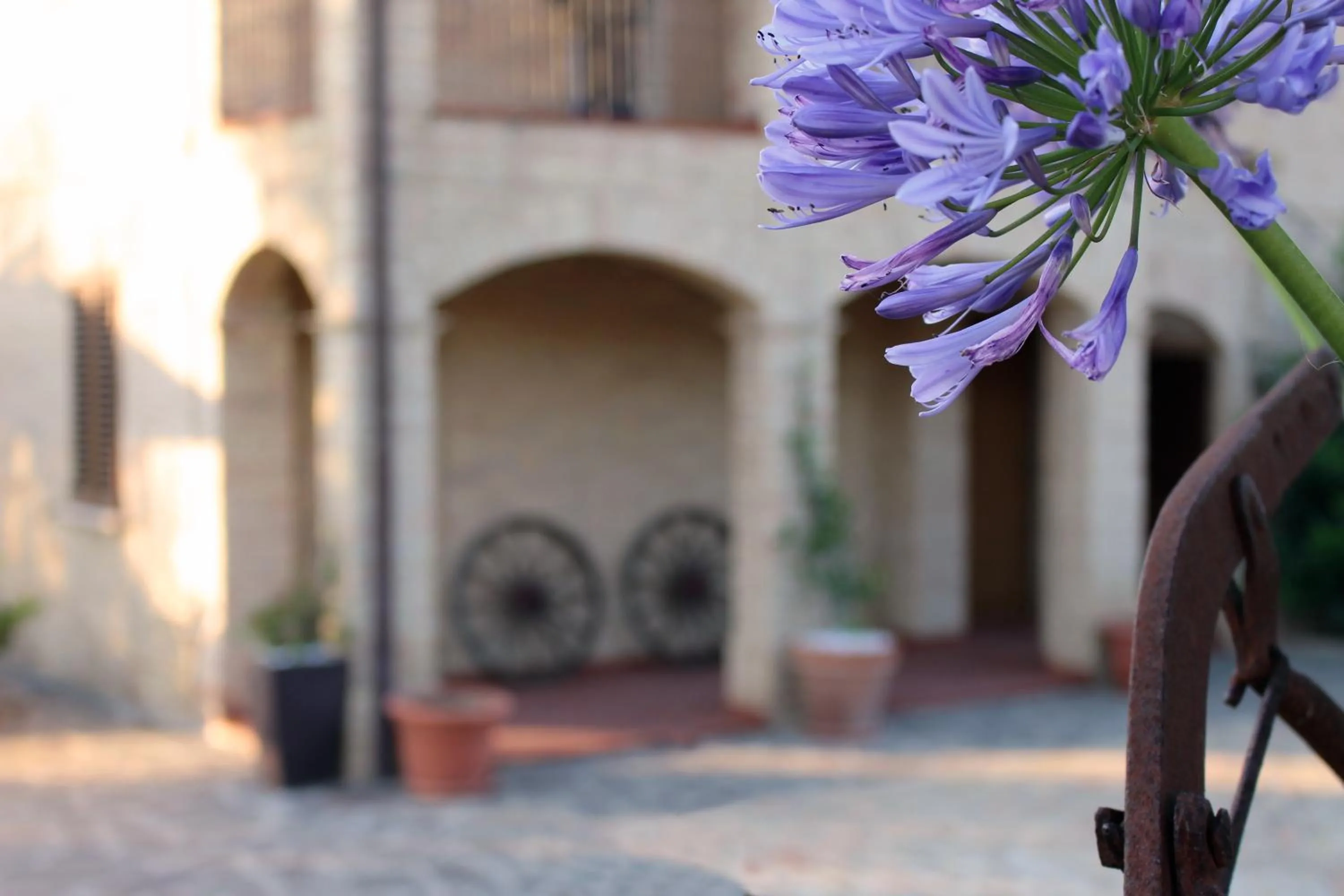 Decorative detail in Bed and breakfast Aratro & Rosmarino