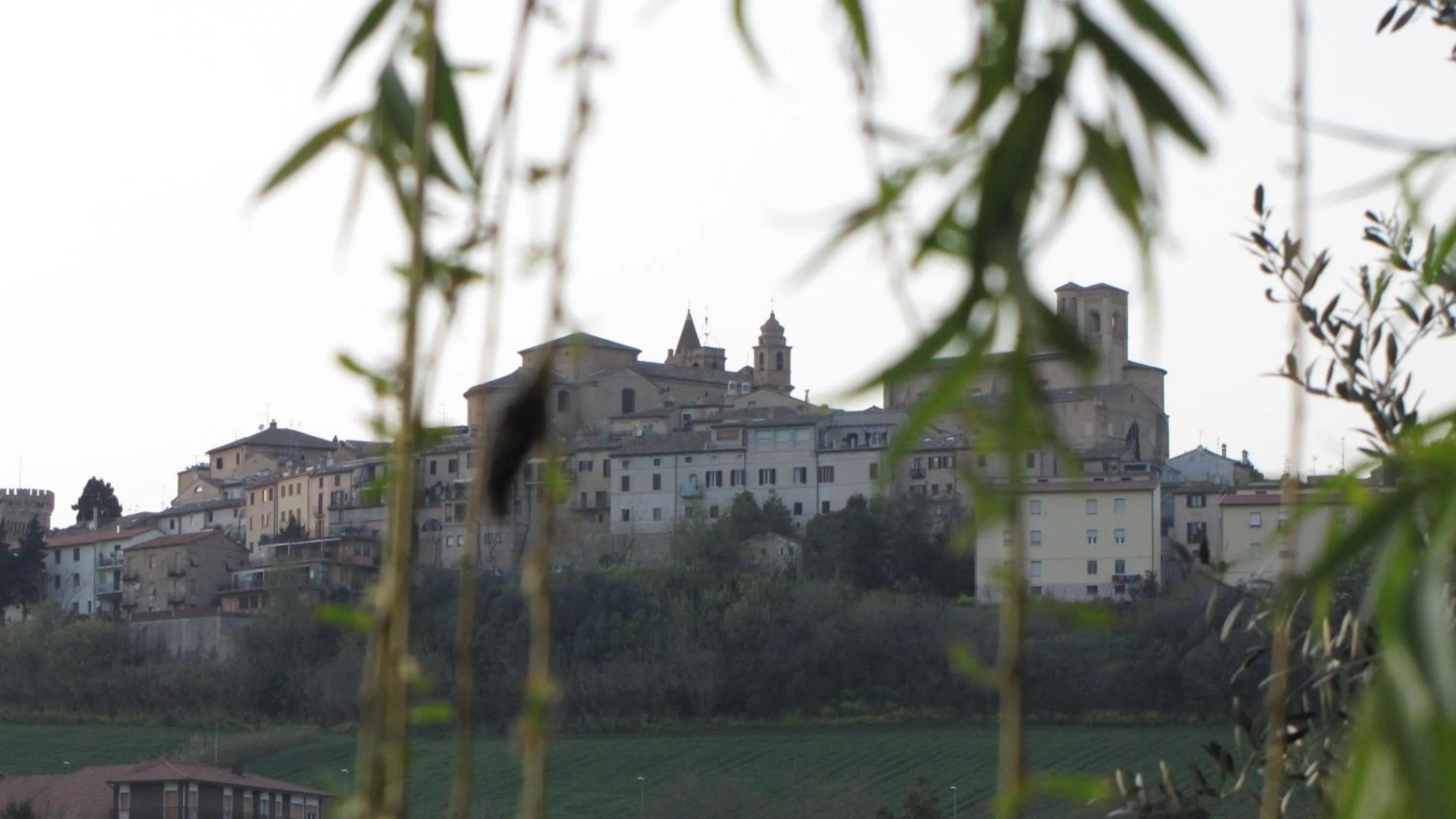 Bed and breakfast Aratro & Rosmarino