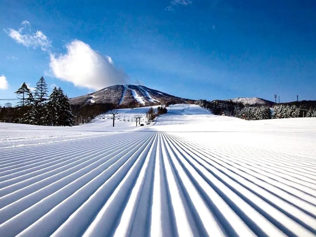 Appi Life is Beautiful