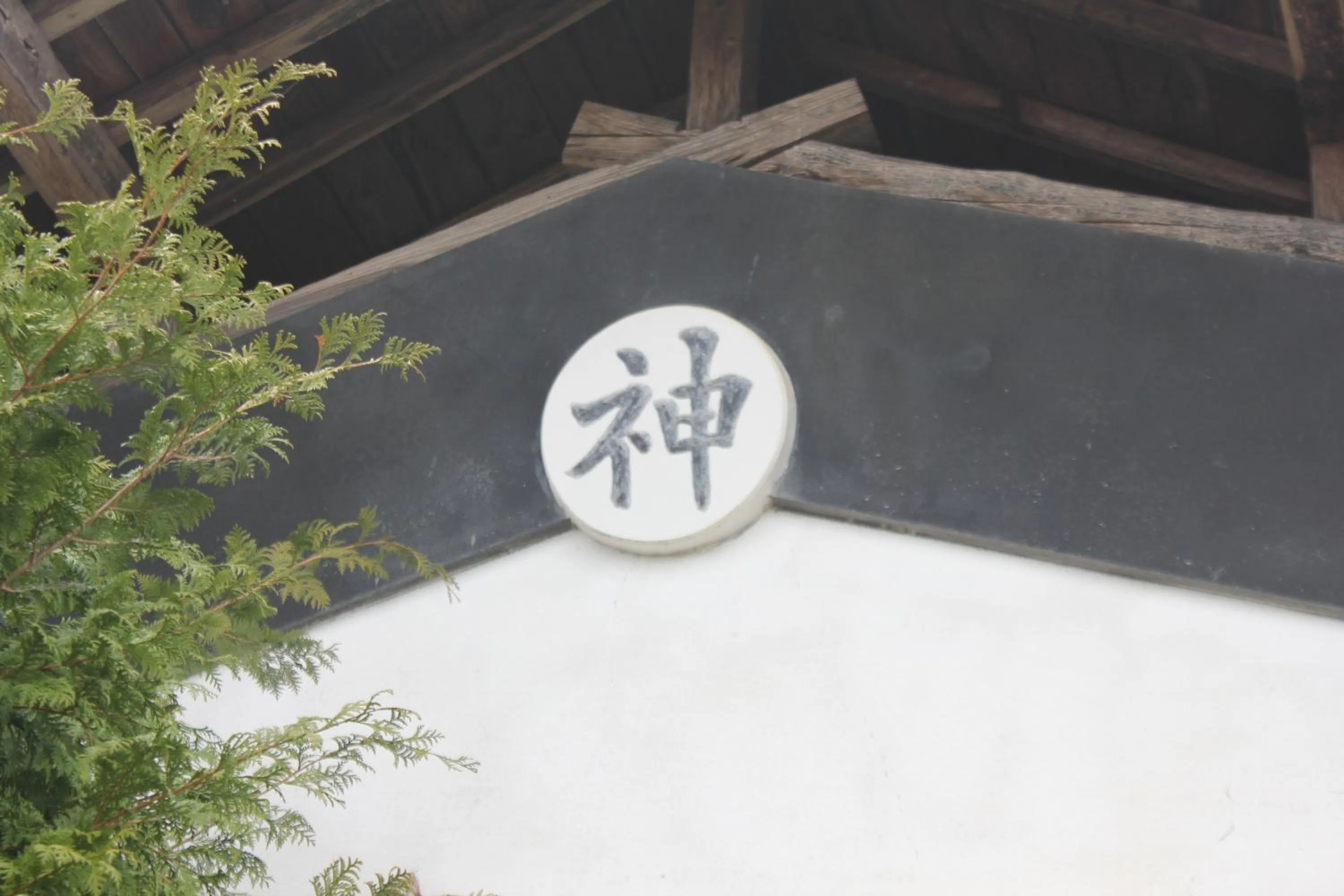 Other in Appi Life is Beautiful