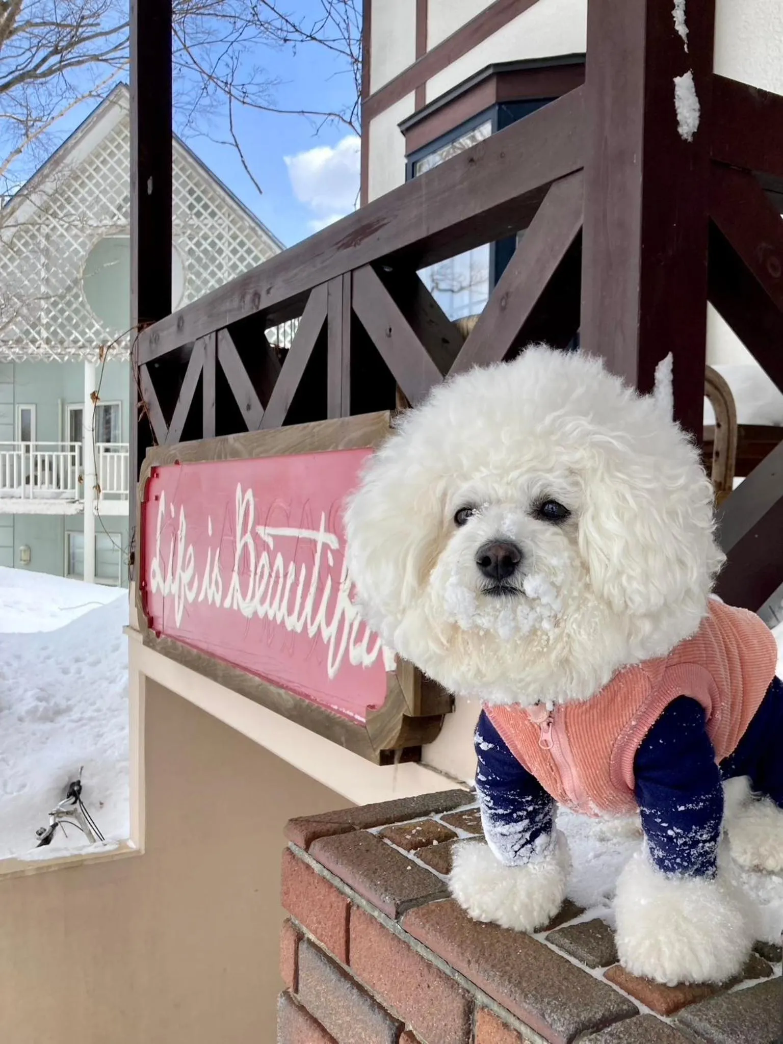 Appi Life is Beautiful