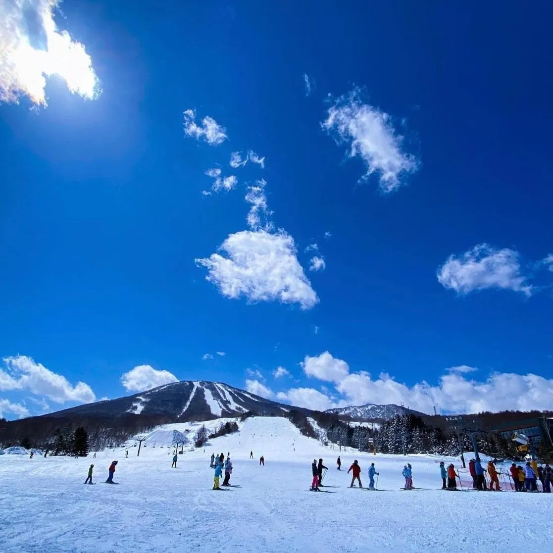 Appi Life is Beautiful