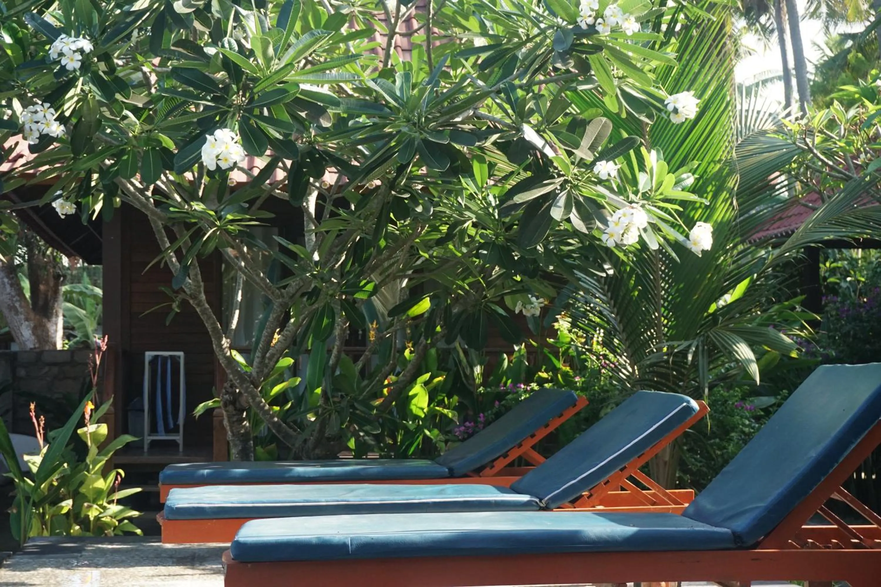 Neighbourhood in Nyoman Guesthouse and Grill