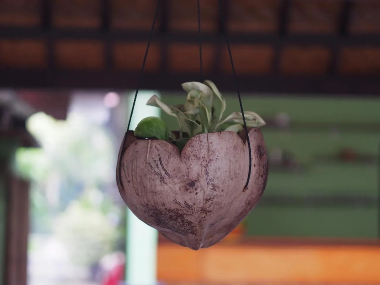 Other in Nyoman Guesthouse and Grill