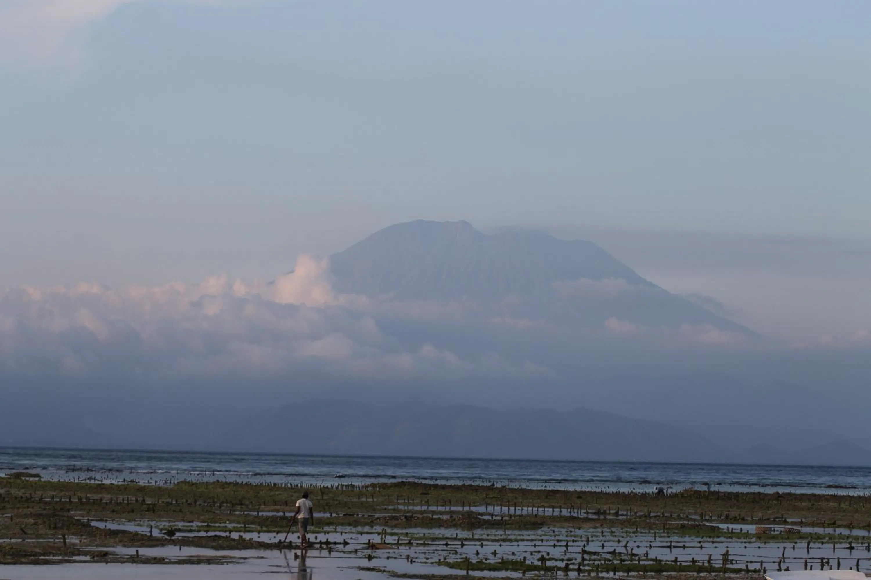 Beach in Nyoman Guesthouse and Grill