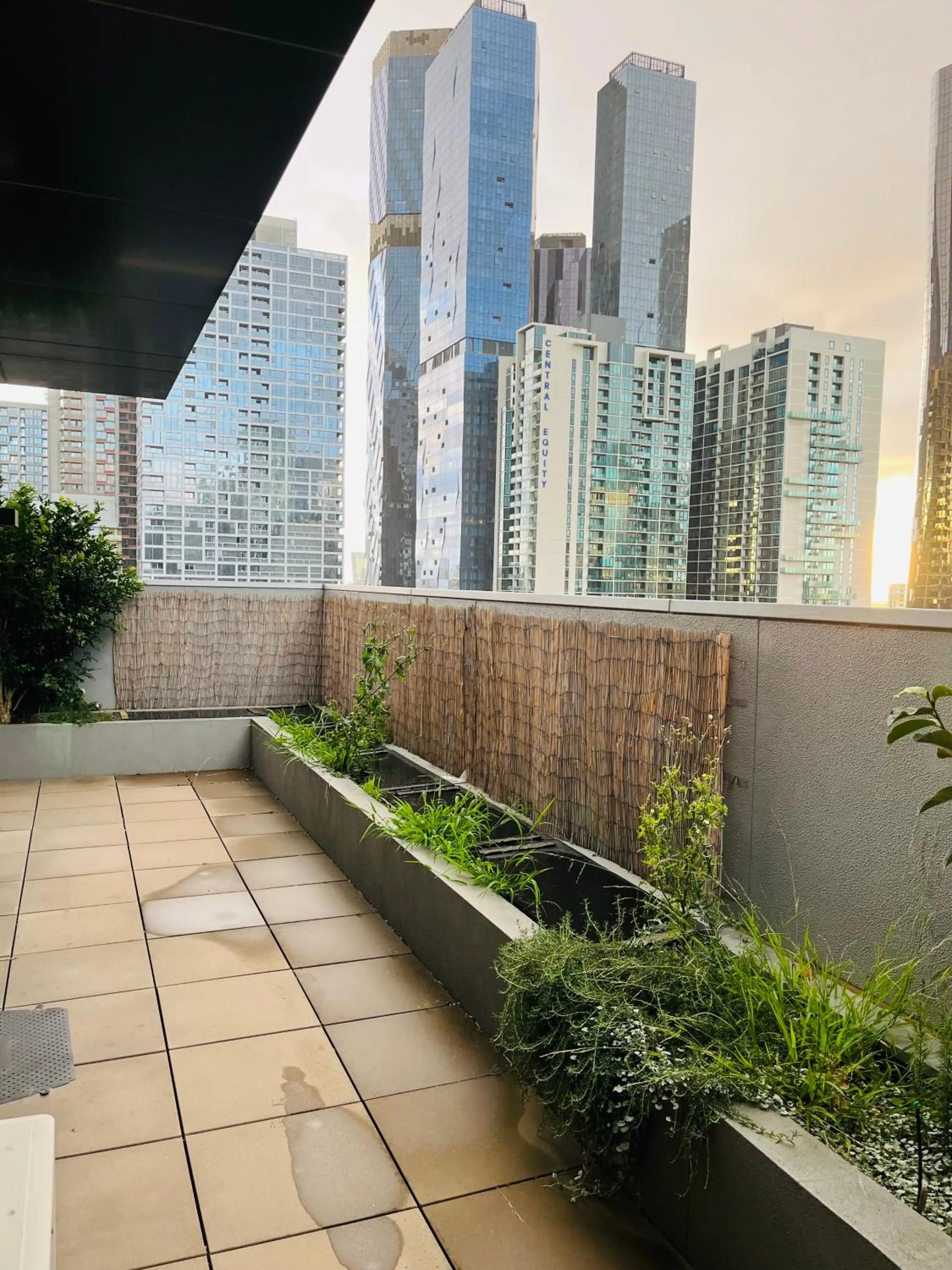 Balcony/Terrace in Wyndham Hotel Melbourne