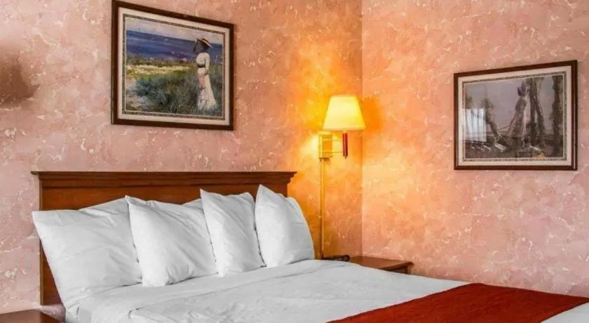 Bed in Econo Lodge Longmont East